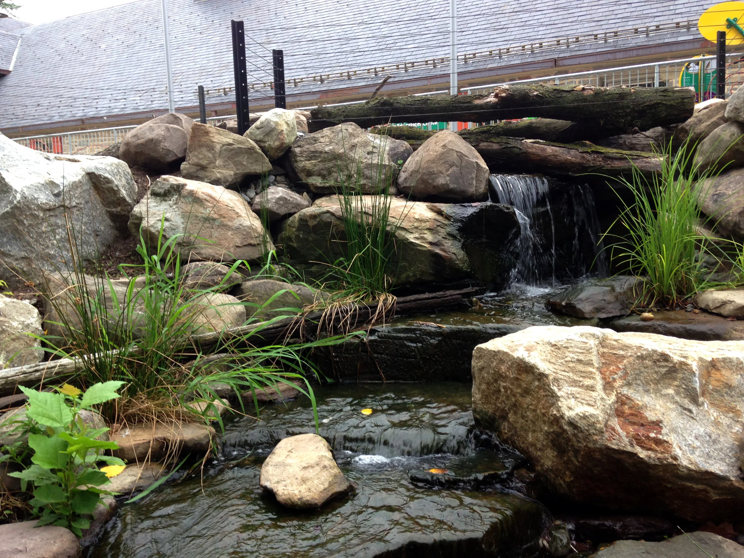Pondworks_philadelphia zoo_duck pond_waterfall.JPG