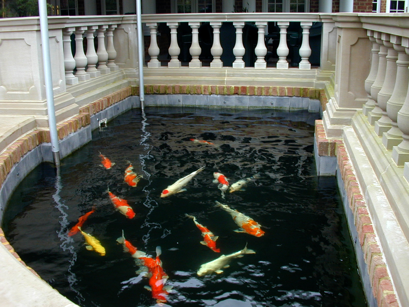 Pondworks_koi pond_01.JPG