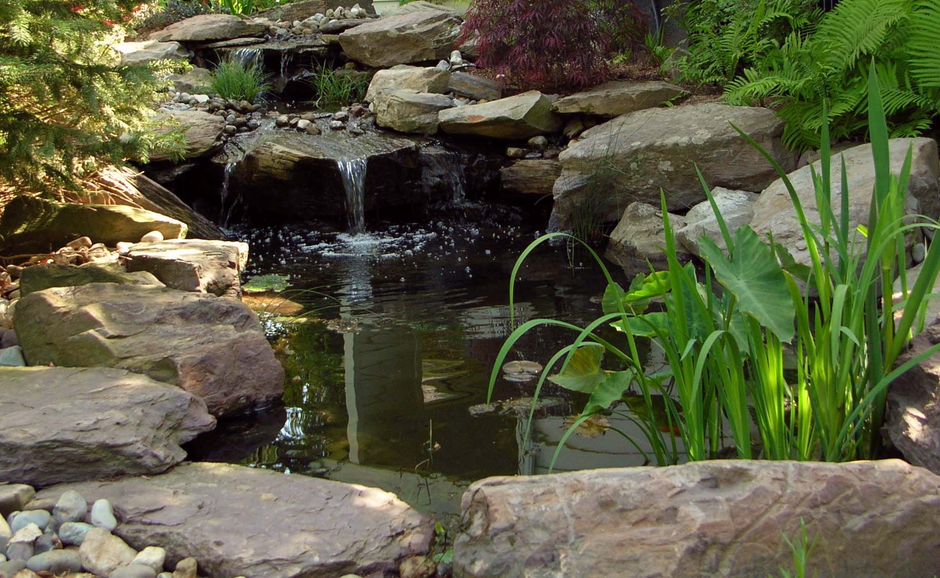 pondworks_waterfall_garden pond_design build_02.jpg