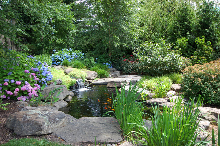 Koi pond vs Garden pond - What's the difference? — PondWorks