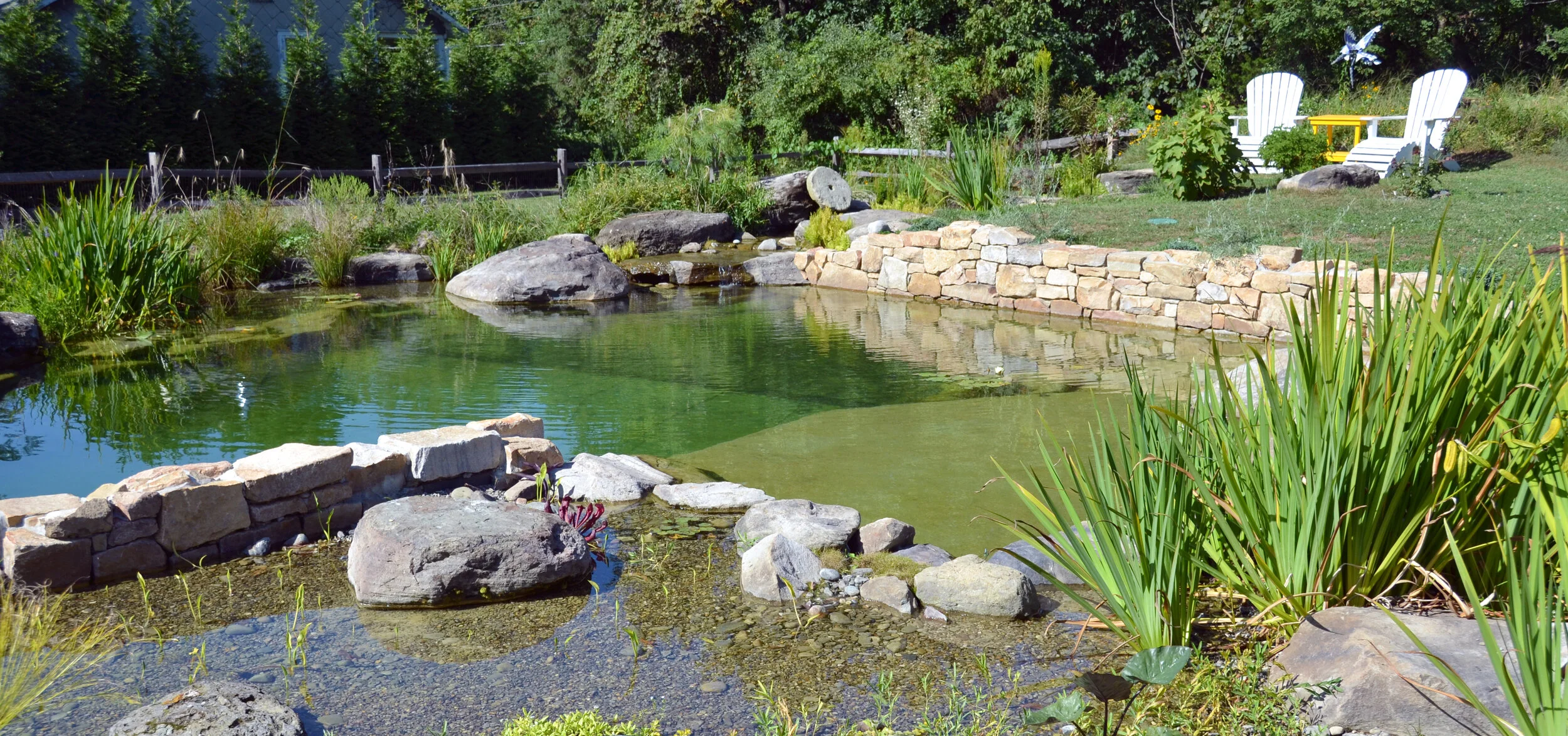 han-pool-nsp-01.jpg