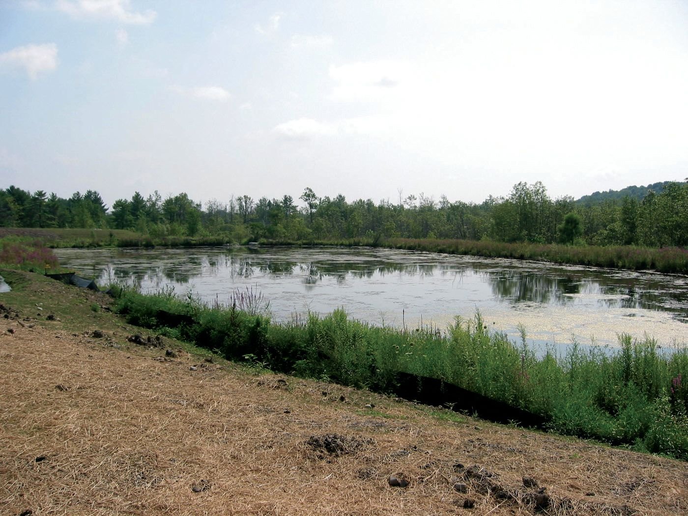 retention basin-before-otterbine-pondworks.jpeg