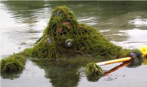 Swamp Thing? Creature from the Black Lagoon?
Nope. Just a brave diver tangled in a nuisance pondweed known as hydrilla in a large pond.

If your pond has submergent weeds that have gotten out of control, feel free to contact PondWorks for analysis an