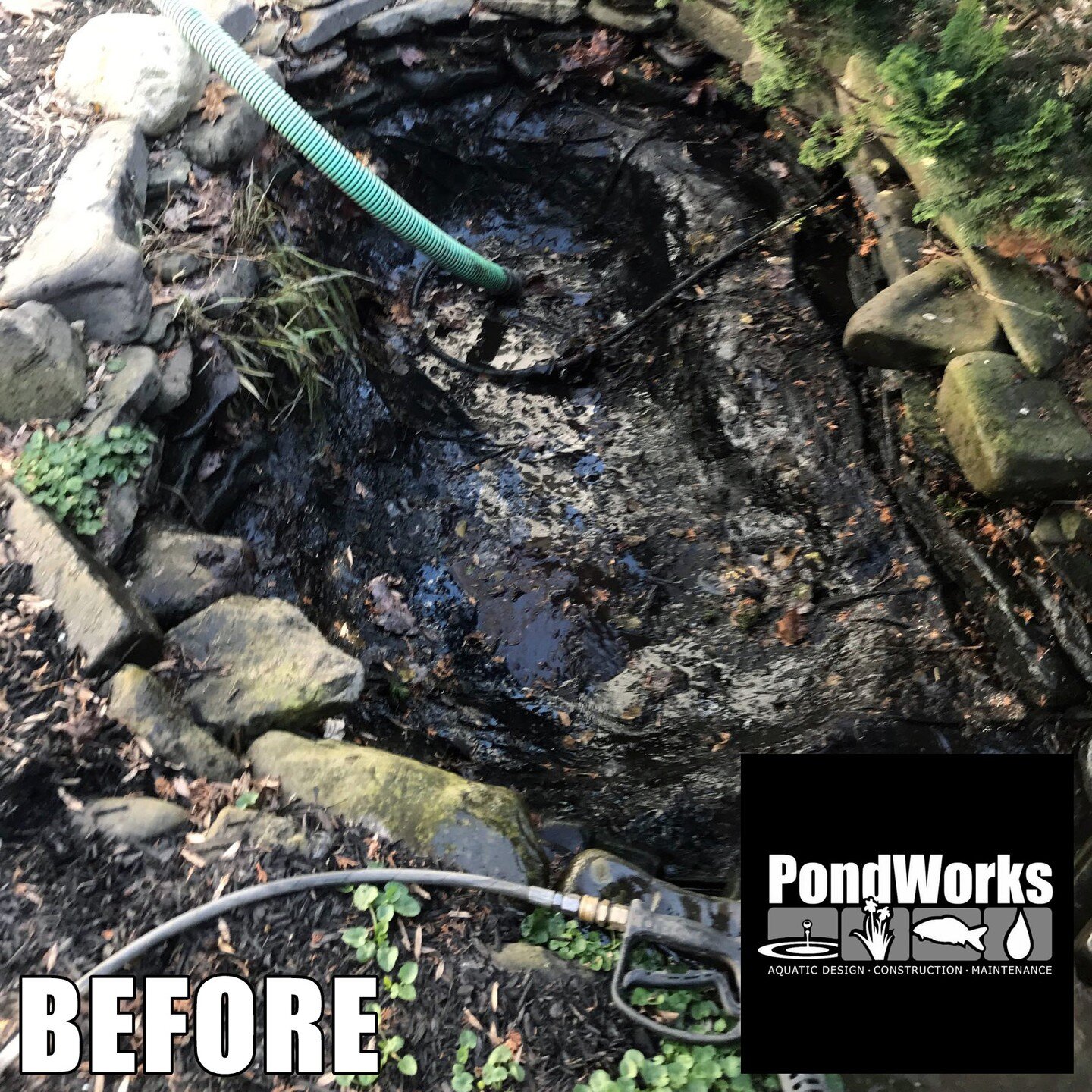 We hope you&rsquo;re all making the most of this winter and the very unpredictable weather (60s in February?).
Before you know it, springtime will be here and that means Spring Cleaning!

Here is a before and after comparison from our Spring Drain an