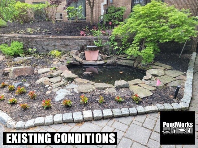 Does your water feature need a facelift?  We can help you visualize it before a shovel hits the ground.  Call in or Contact Us through the website to find out how we can help you give your pond or fountain a new look this year.

 #pondworks_online #a