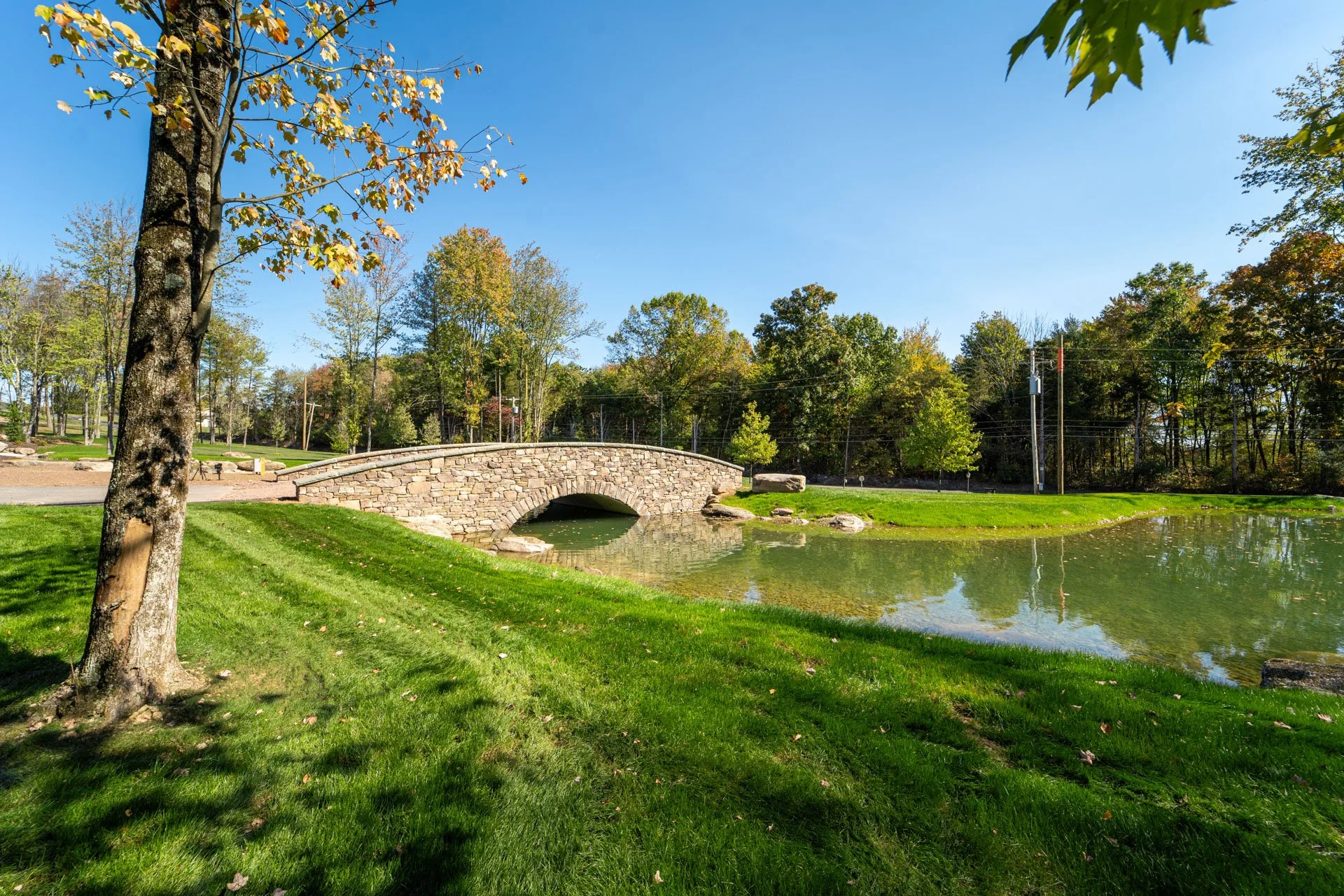 a-welcome-home-large-pond-stone-bridge.jpg