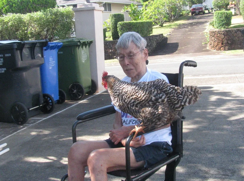 Yasuda welcomes visitors of the feathered kind.