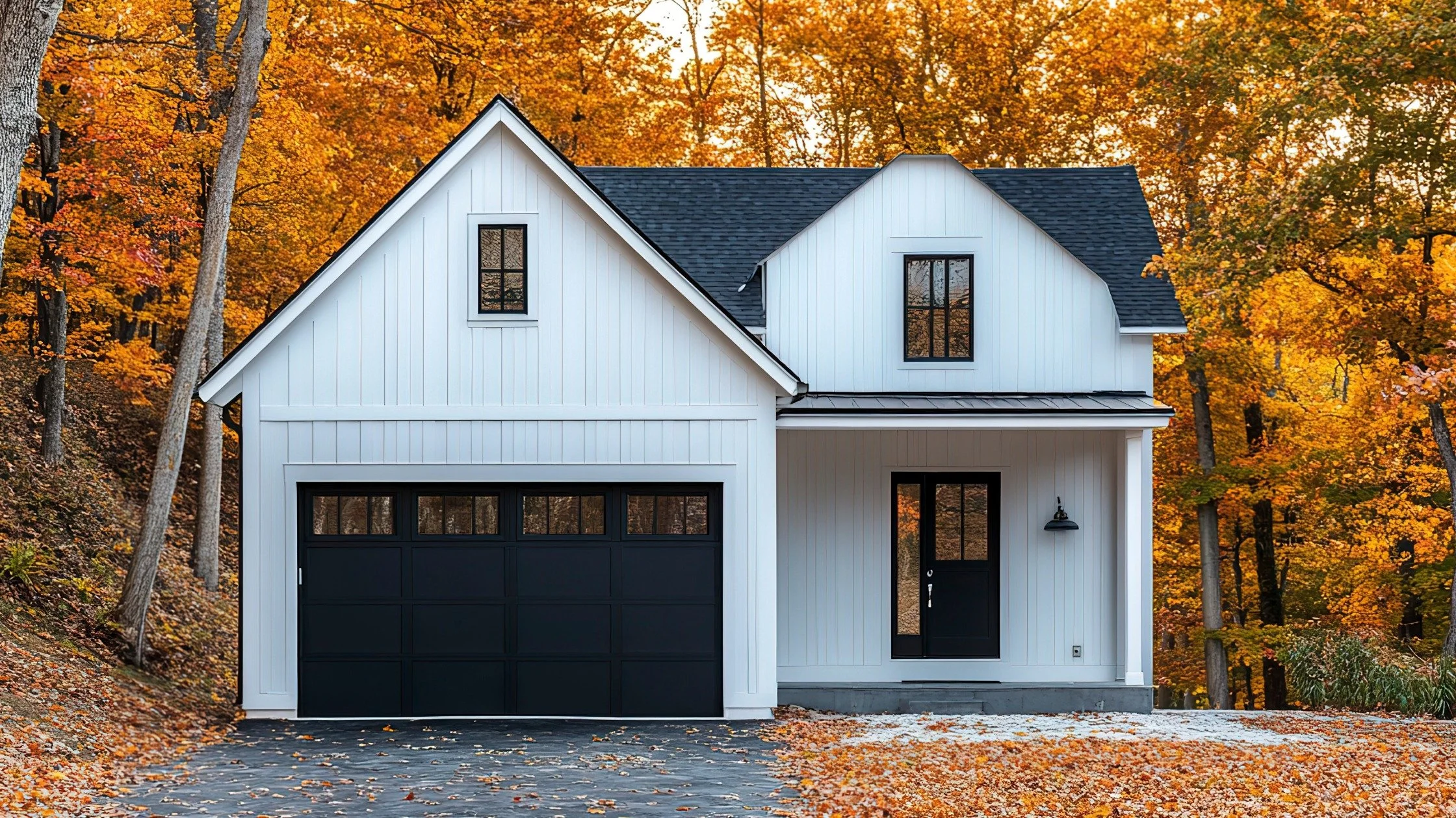 title page no text.jpeg