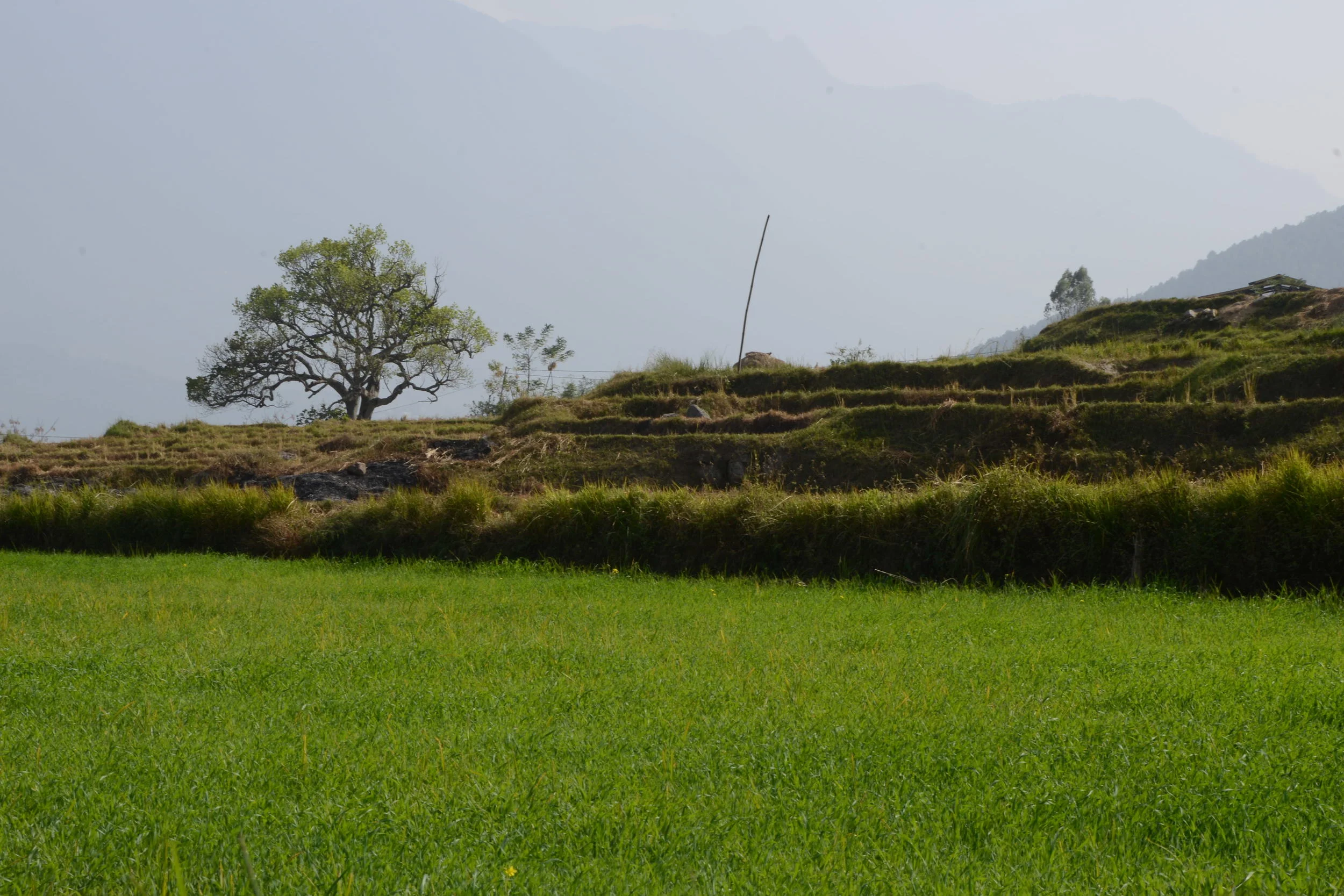 Working with negative self-thoughts