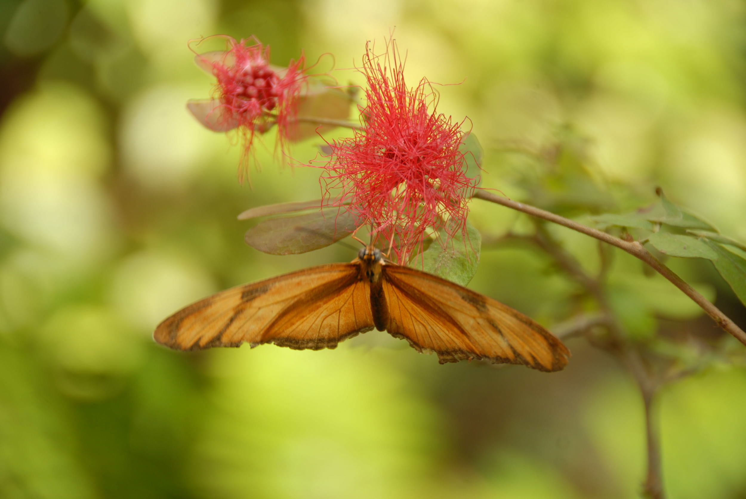 Guidelines for the therapeutic relationship