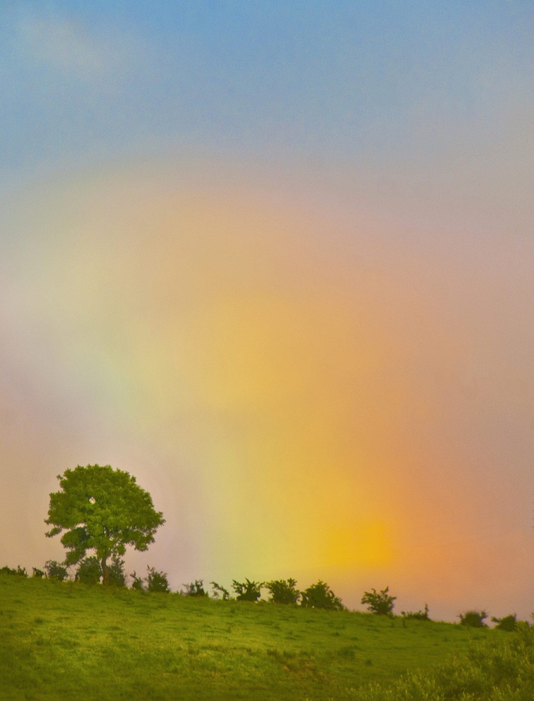 DSC_0406a.jpg