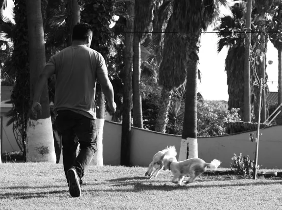 Dog_dad.jpg