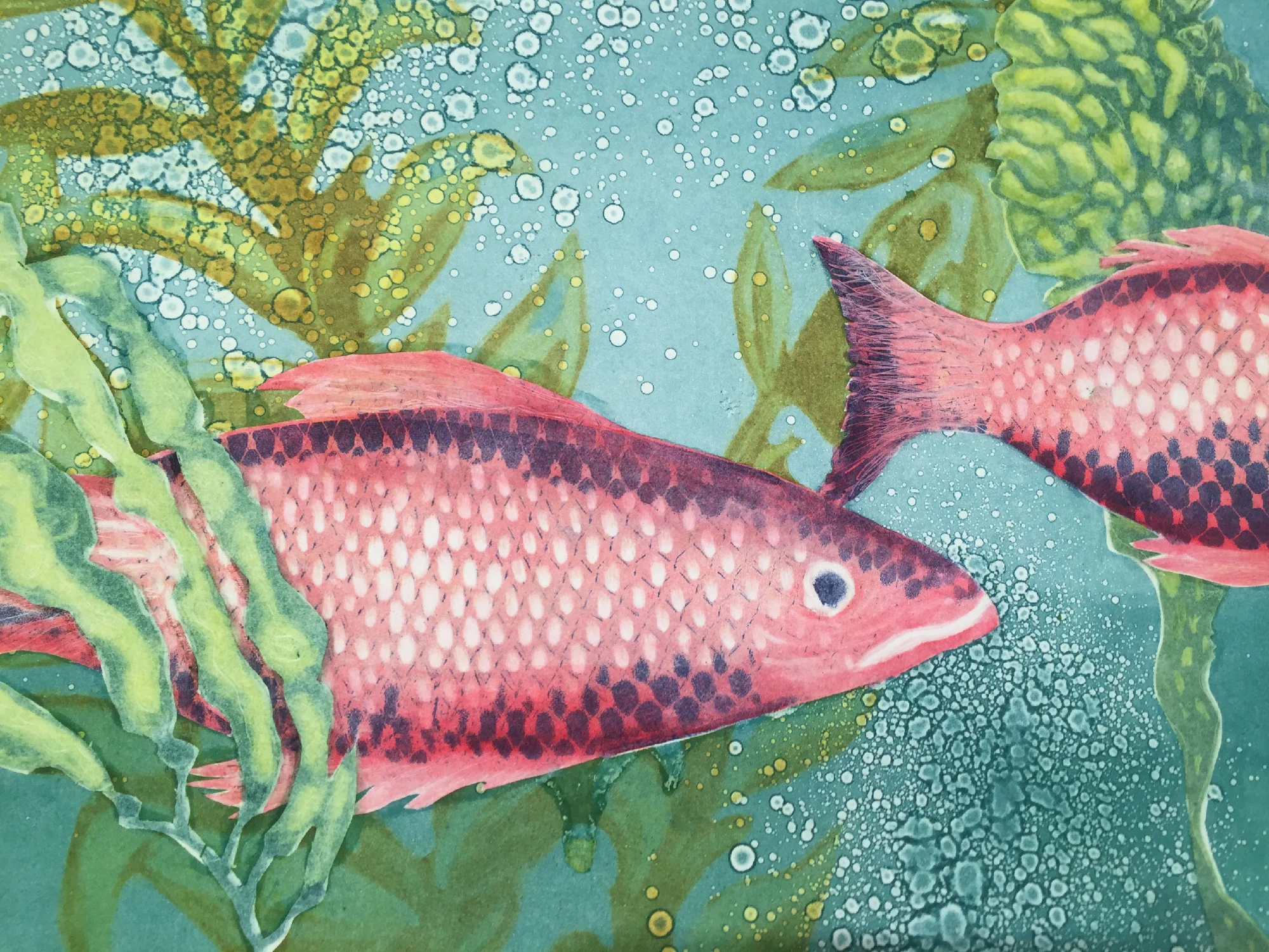 Salmon Run
