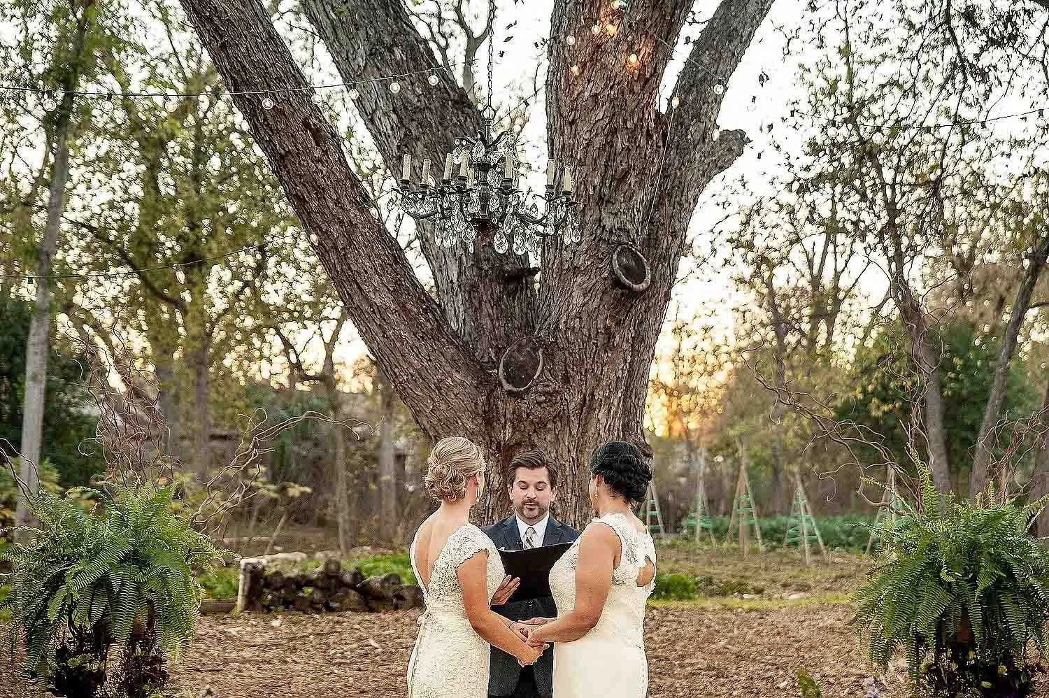 Springdale-farms-wedding-photography-austin-023.jpg