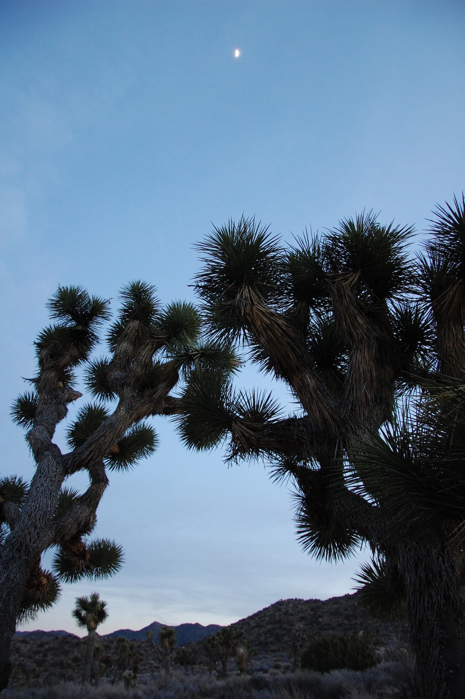 Low-light photography has been our greatest challenge. &nbsp;We have learned SO MUCH about our cameras in the process though.&nbsp;