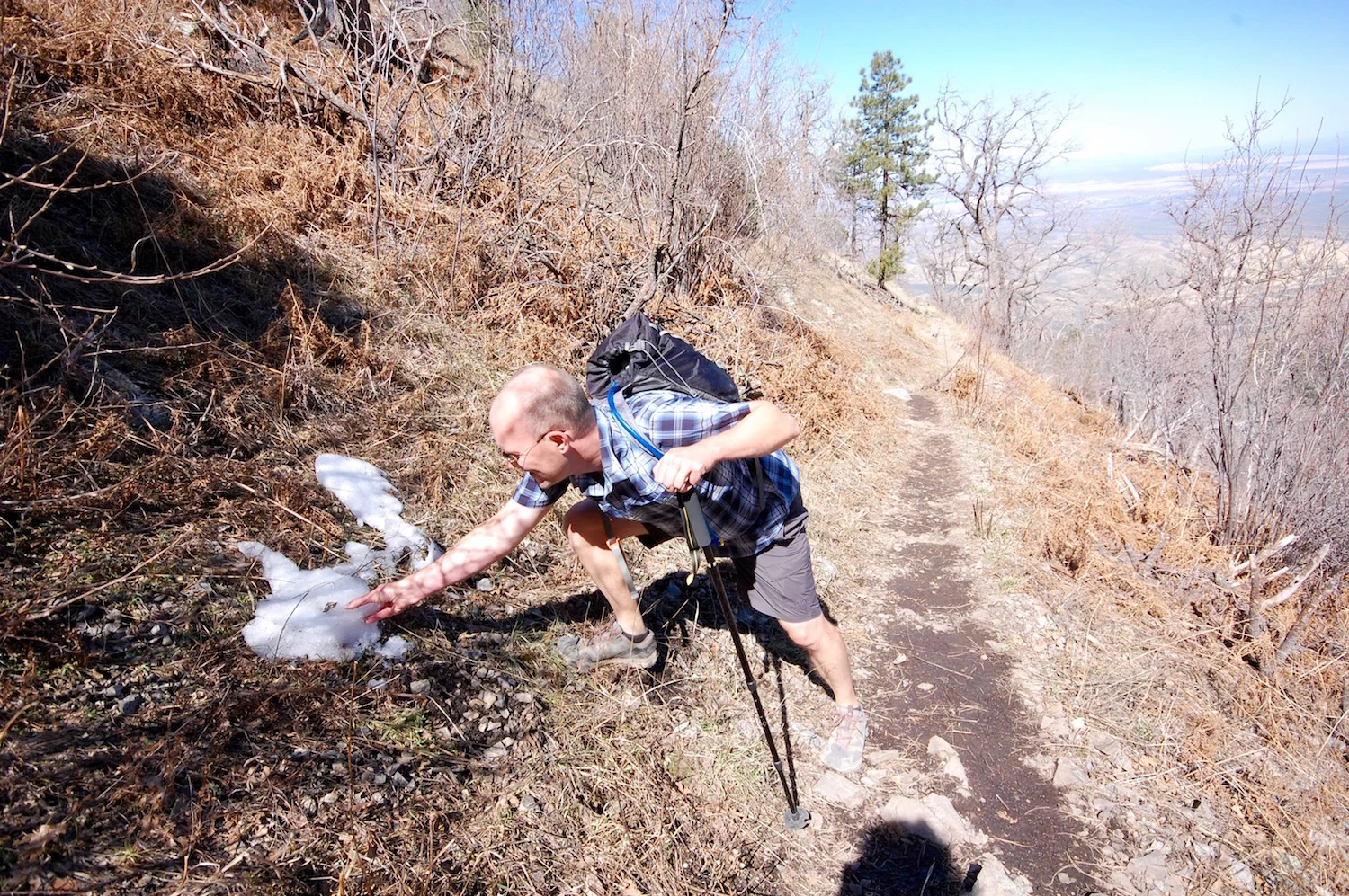 Old Baldy Trail, Near Bellows Spring
