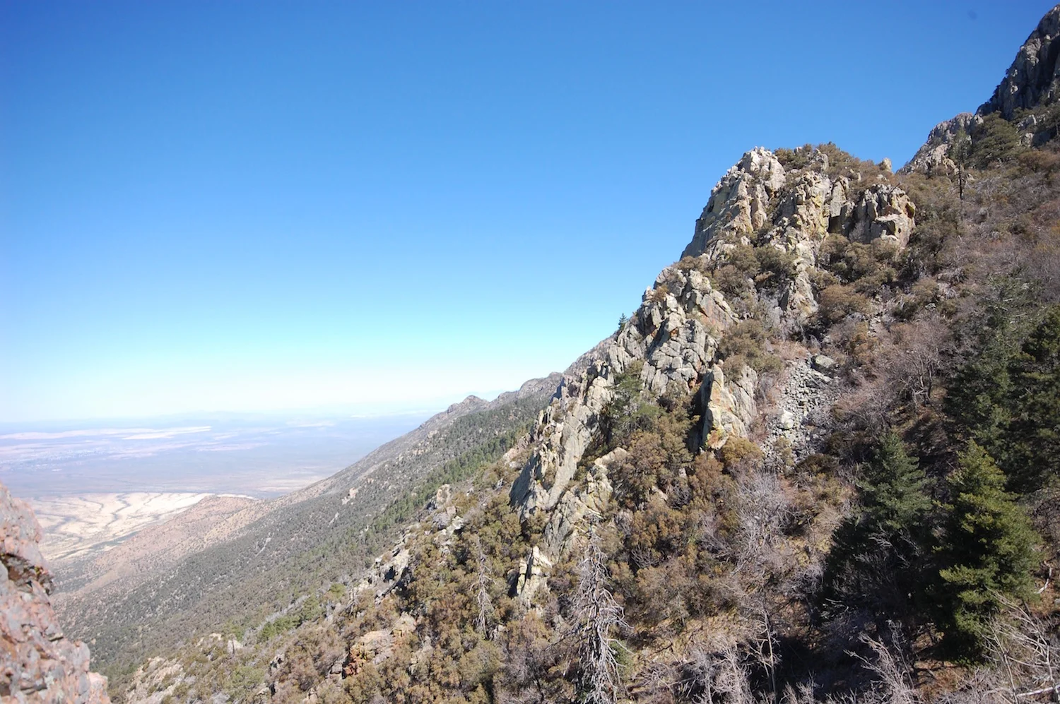 Old Baldy Trail, Between Bellows Spring and Old Baldy Saddle