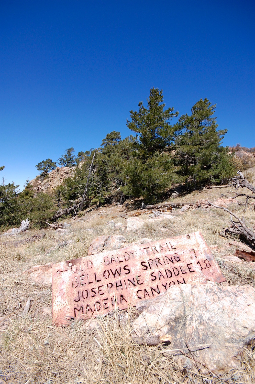 Old Baldy Trail, &nbsp;Old Baldy Saddle, 8780 ft.&nbsp;