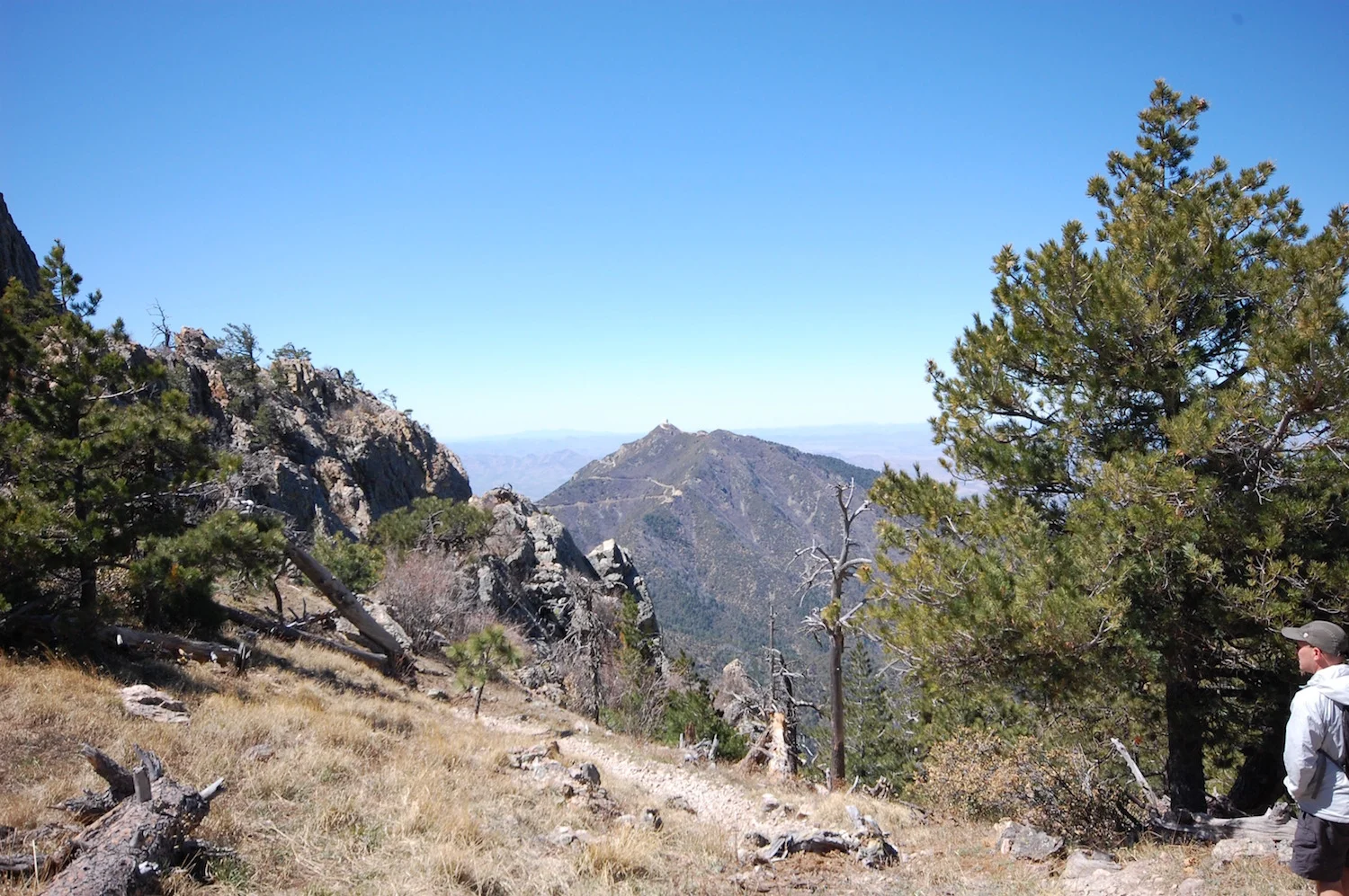 Old Baldy Trail, Between Bellows Spring and Old Baldy Saddle