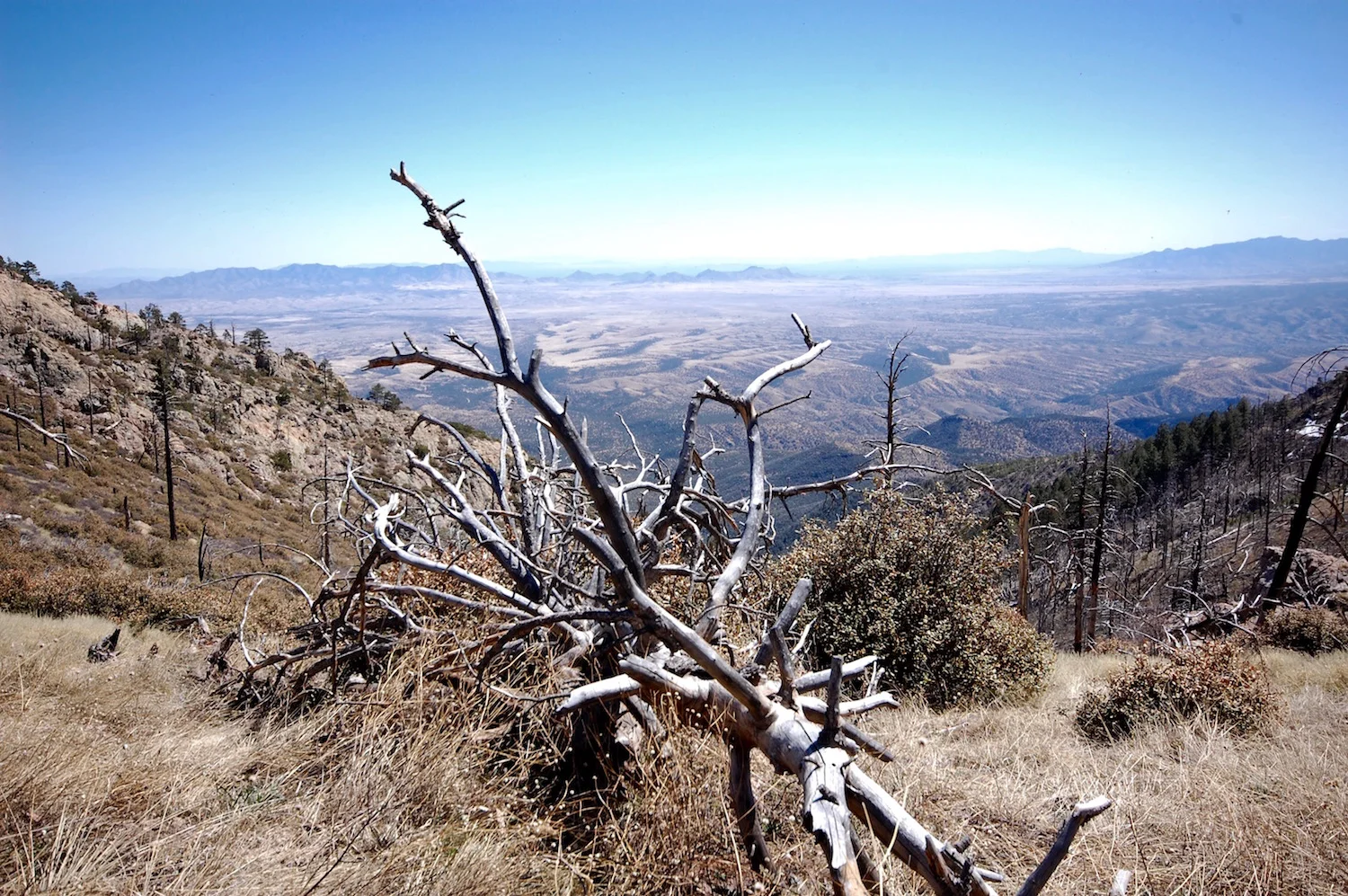 View from Old Baldy Saddle, 8780 ft.
