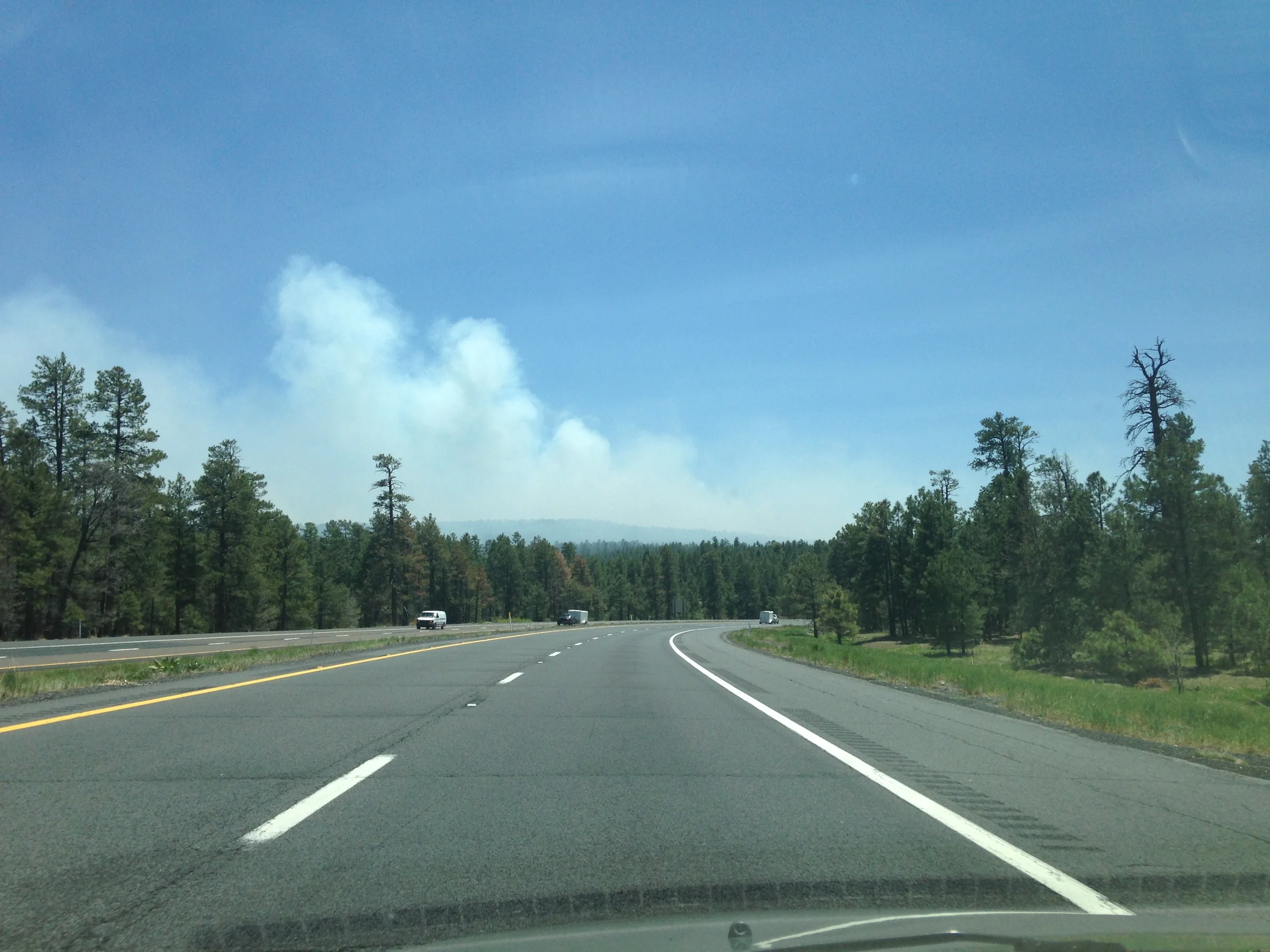 Day 136: Forest Fire!