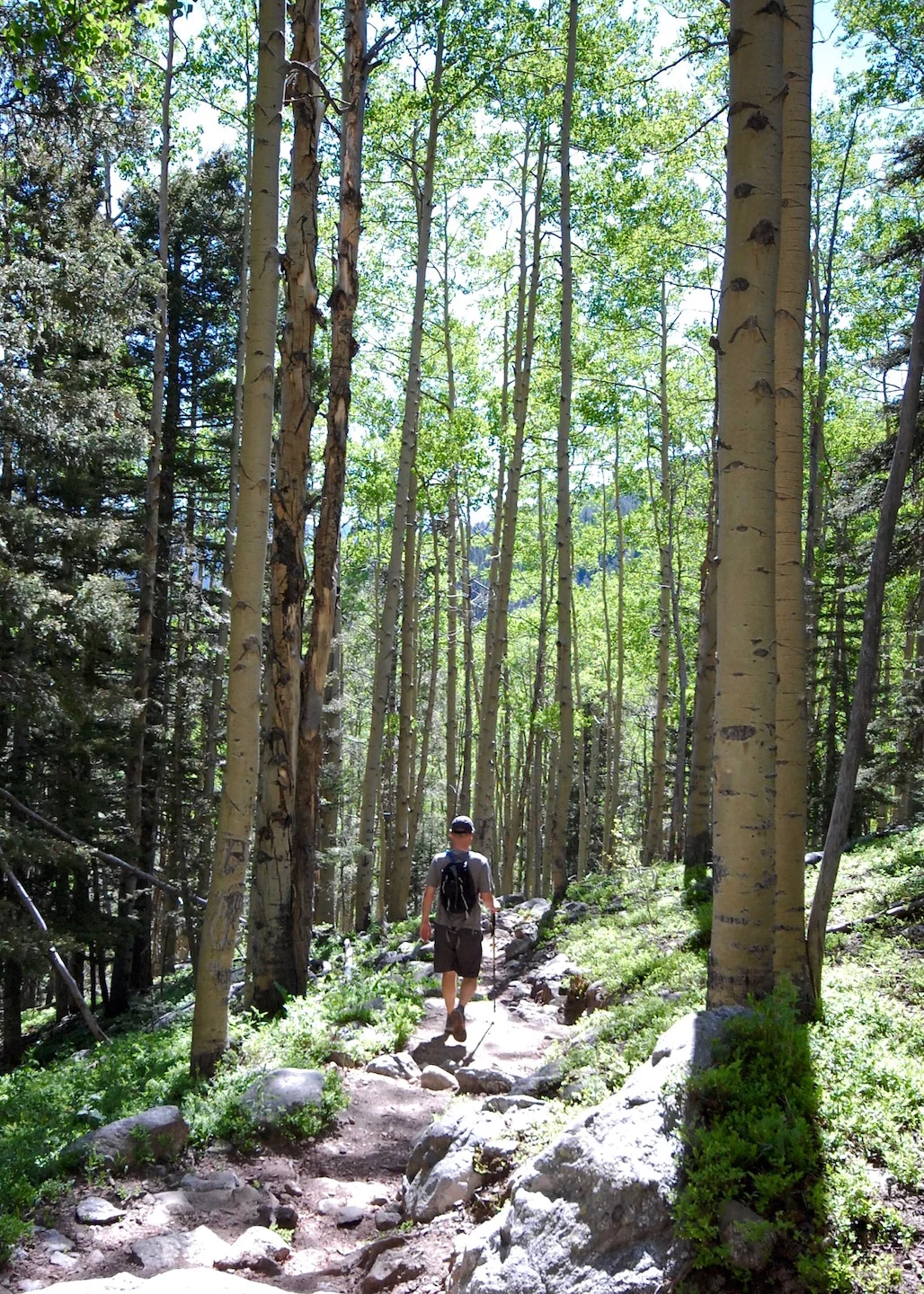 Winsor Trail