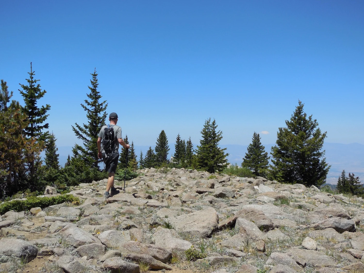 Alpine Vista Fire Road