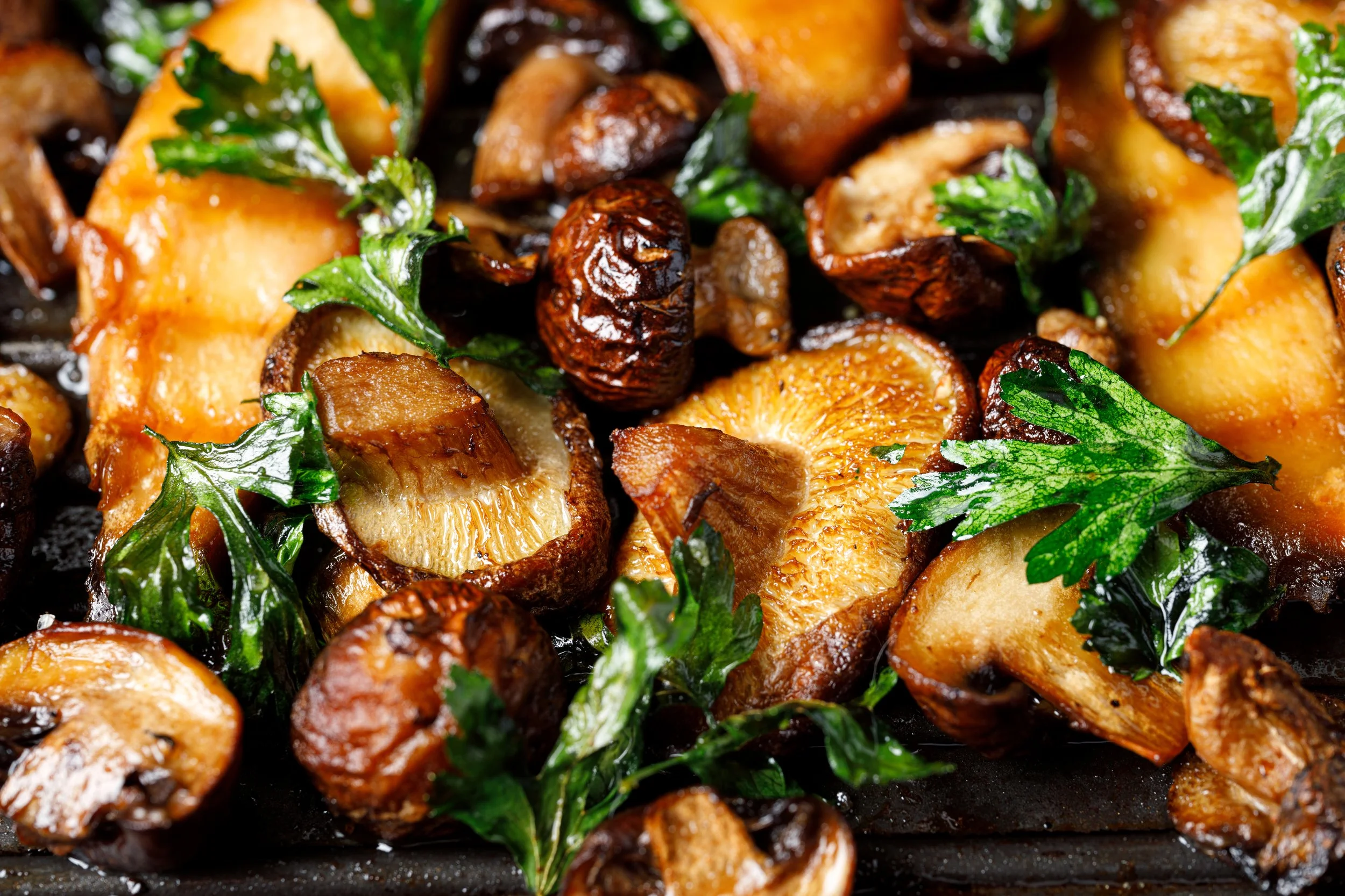 mushroom app.jpeg
