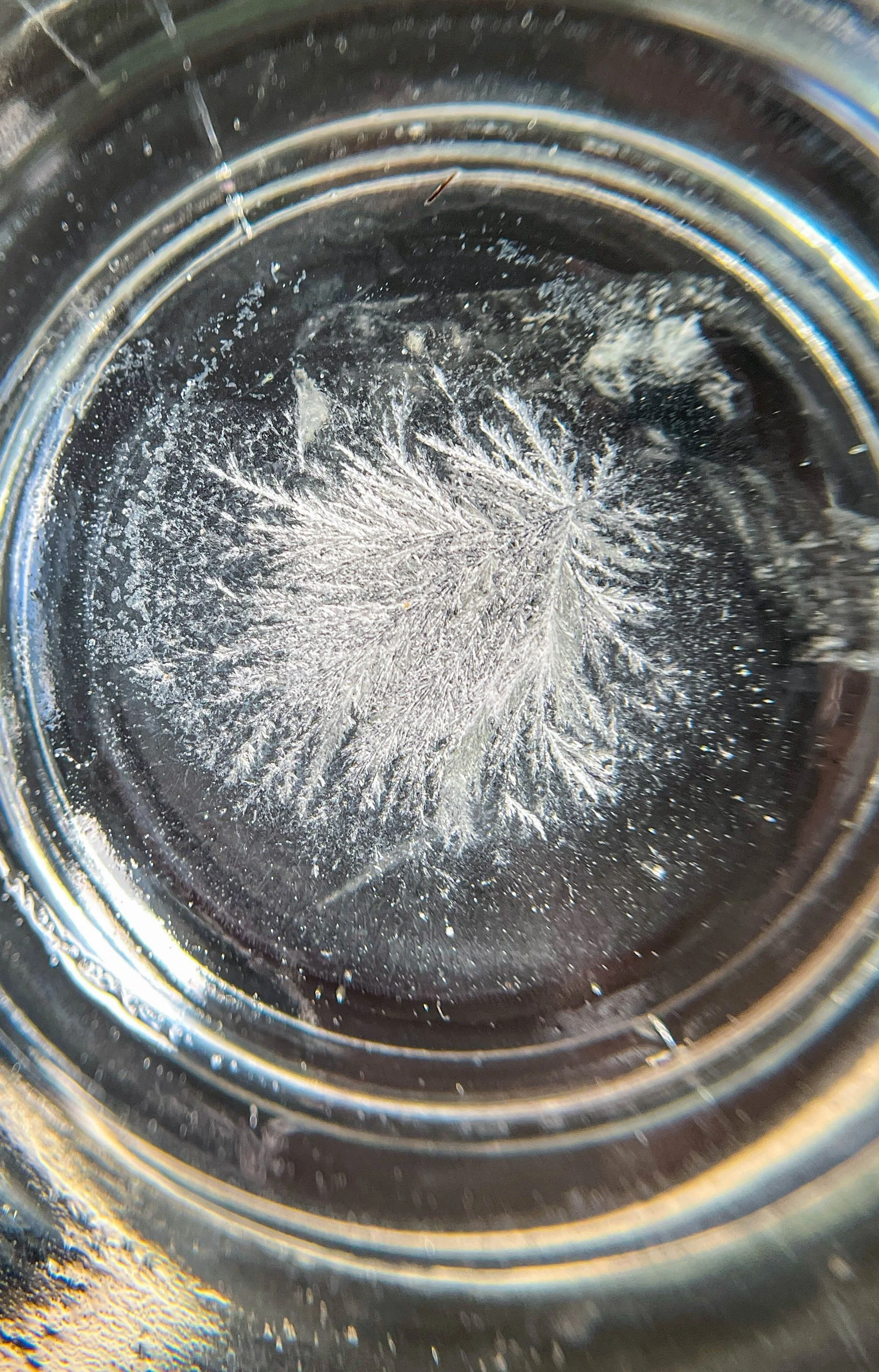 feathery white crystals growing in a glass jar