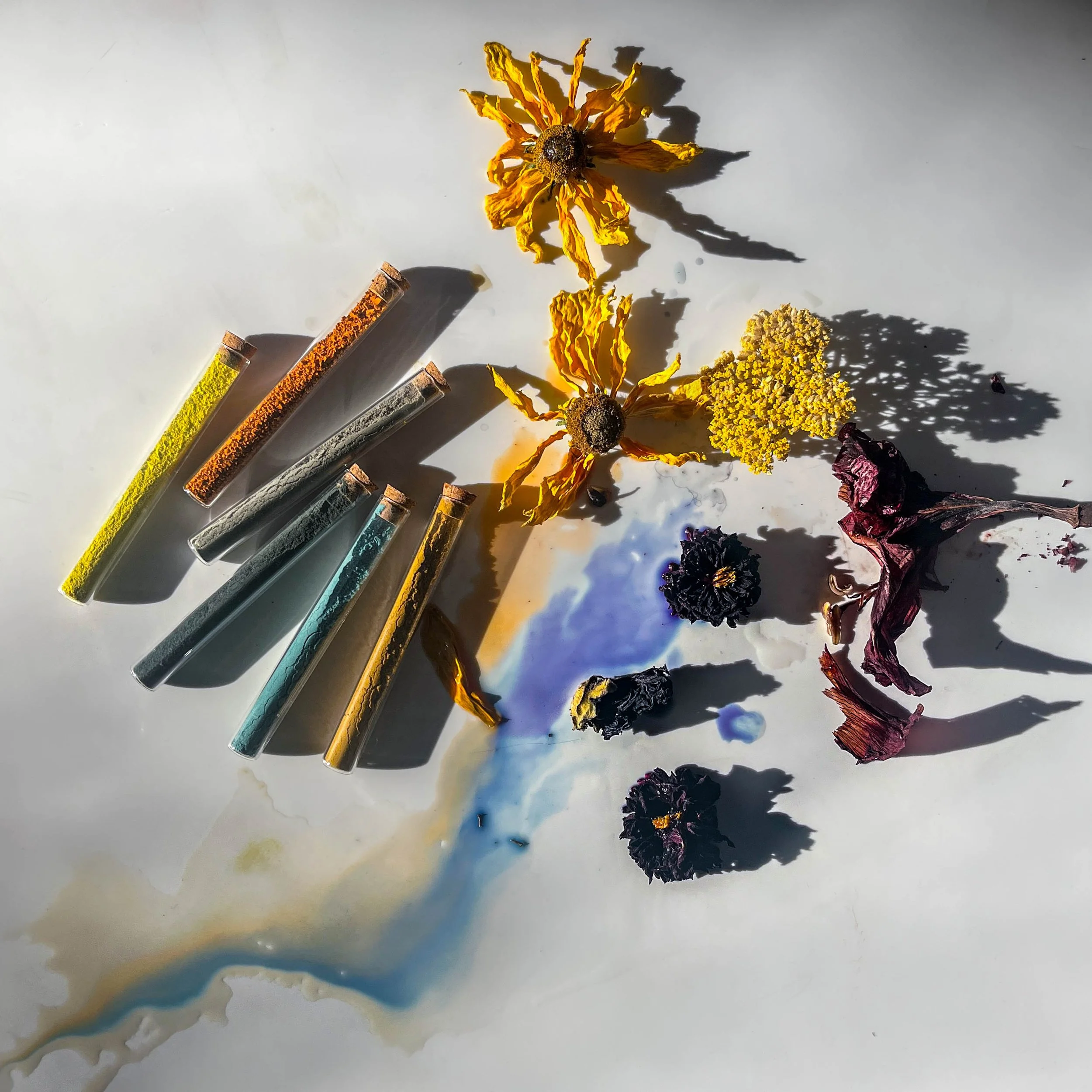 stopka floral pigments-2.jpg