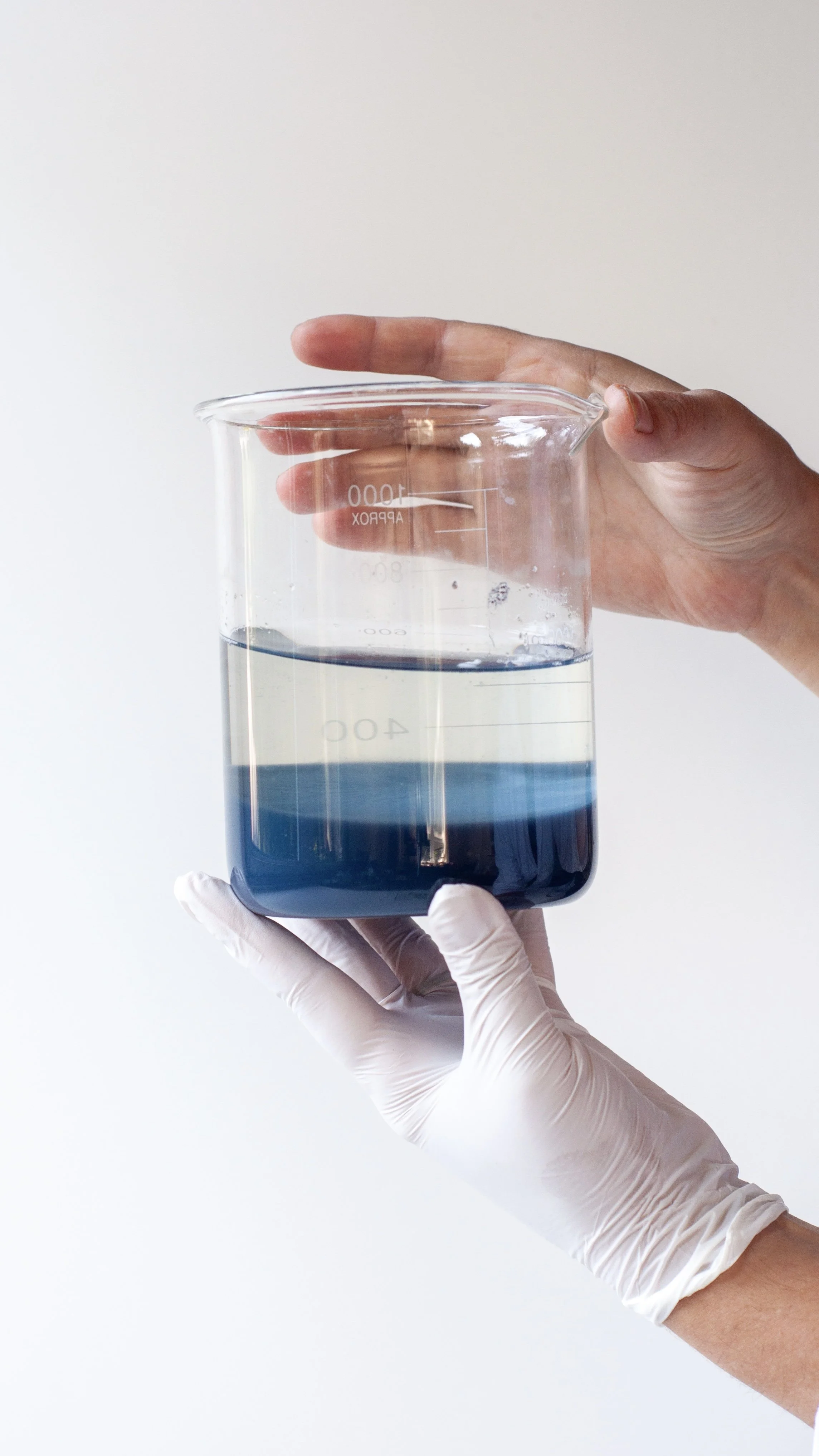 4 lake pigments-38_Original.jpg