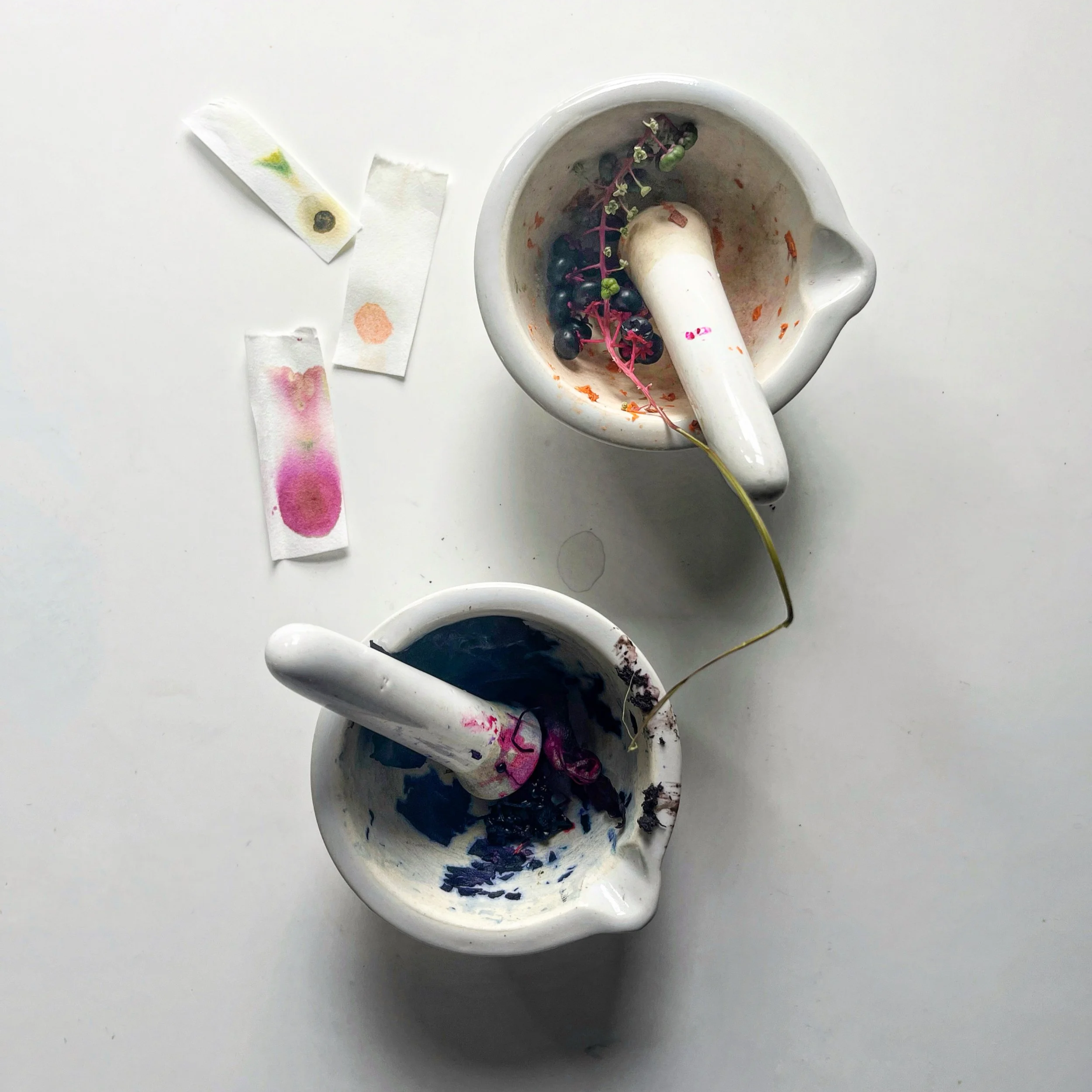 chromatography+0.png