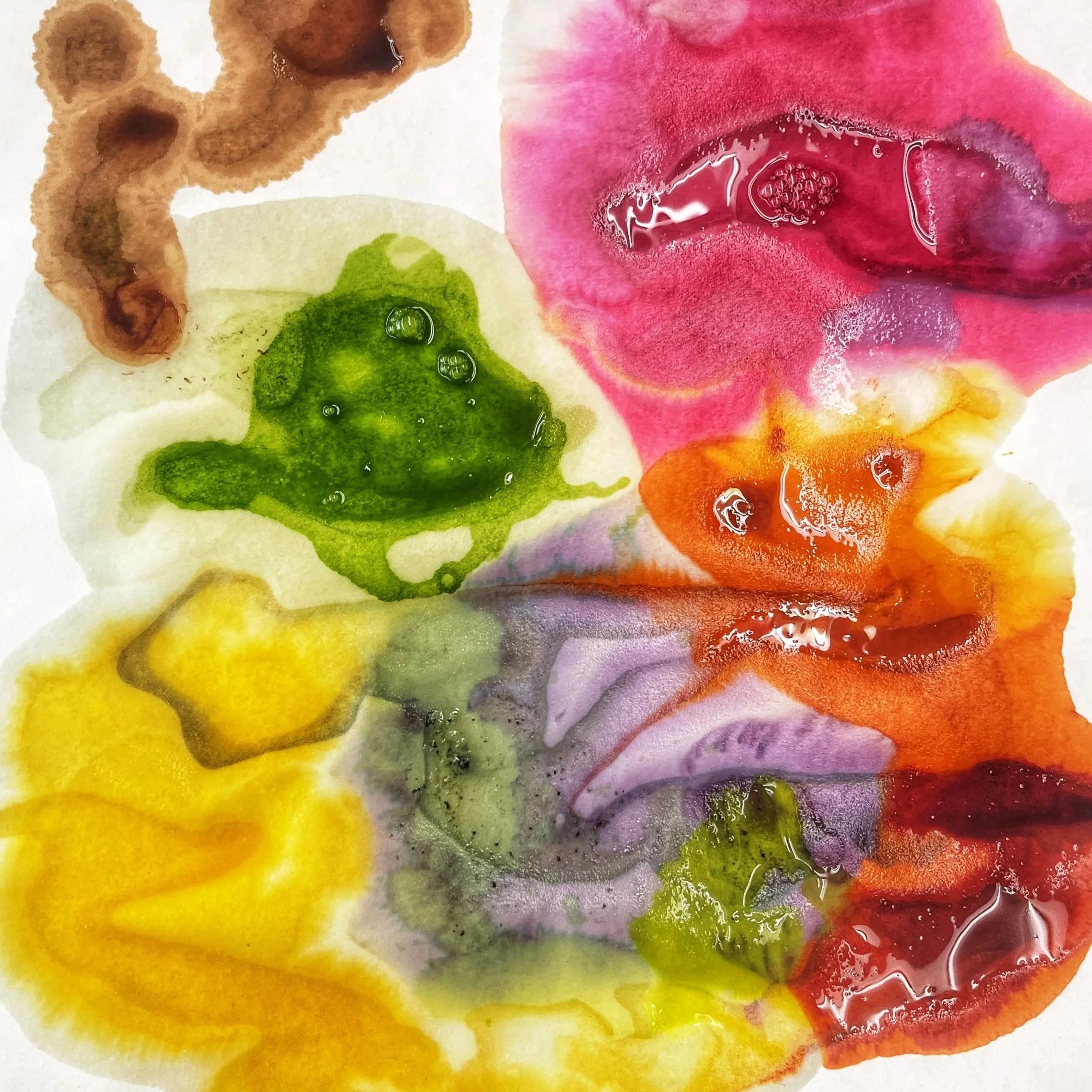 chromatography+4.jpg