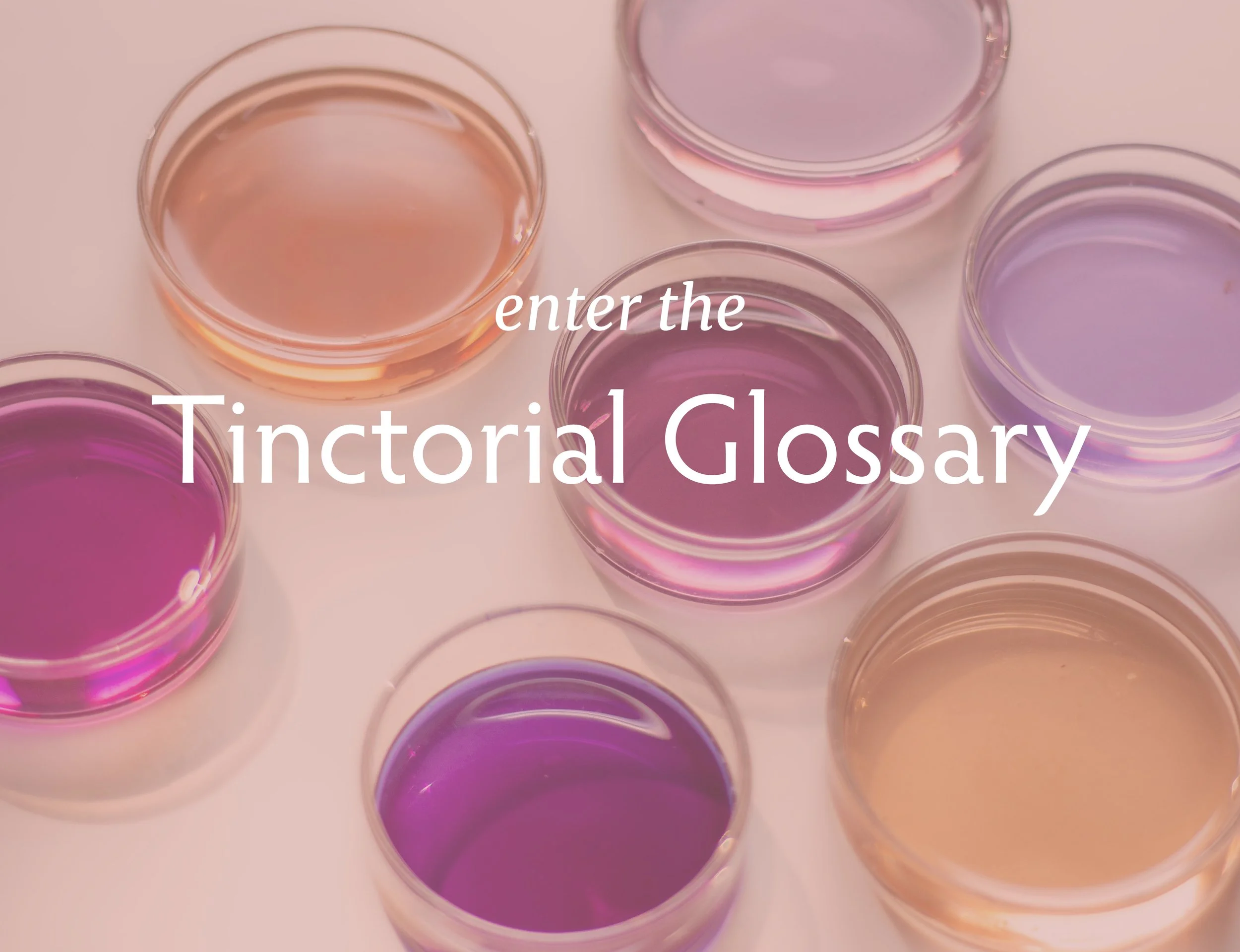 click to enter the glossary