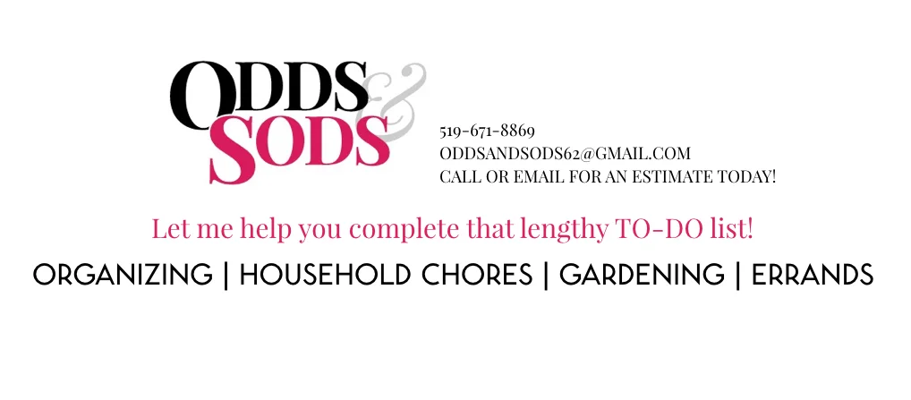 odds and sods header.001.jpeg