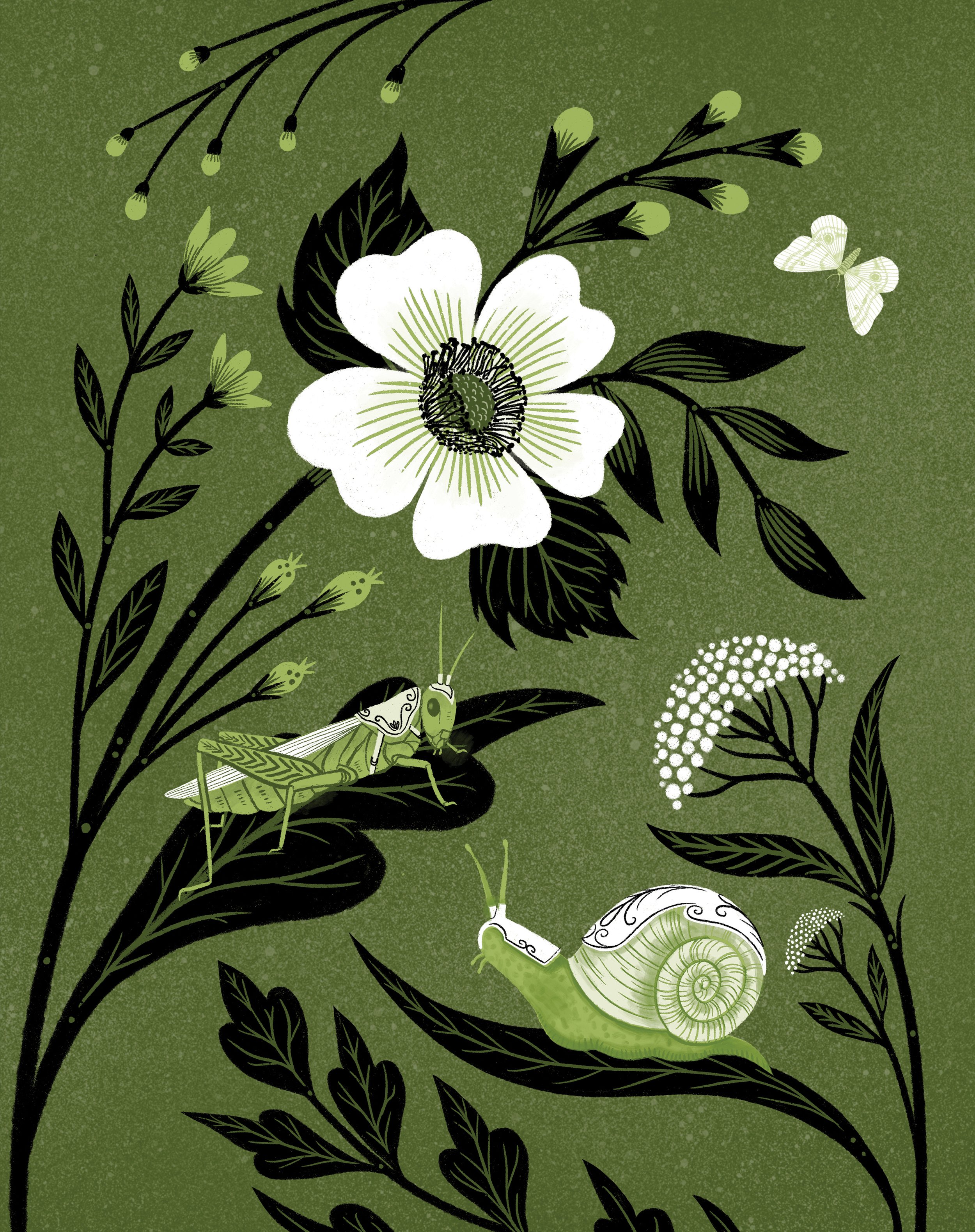 endpapers_reversed_color_final.jpg