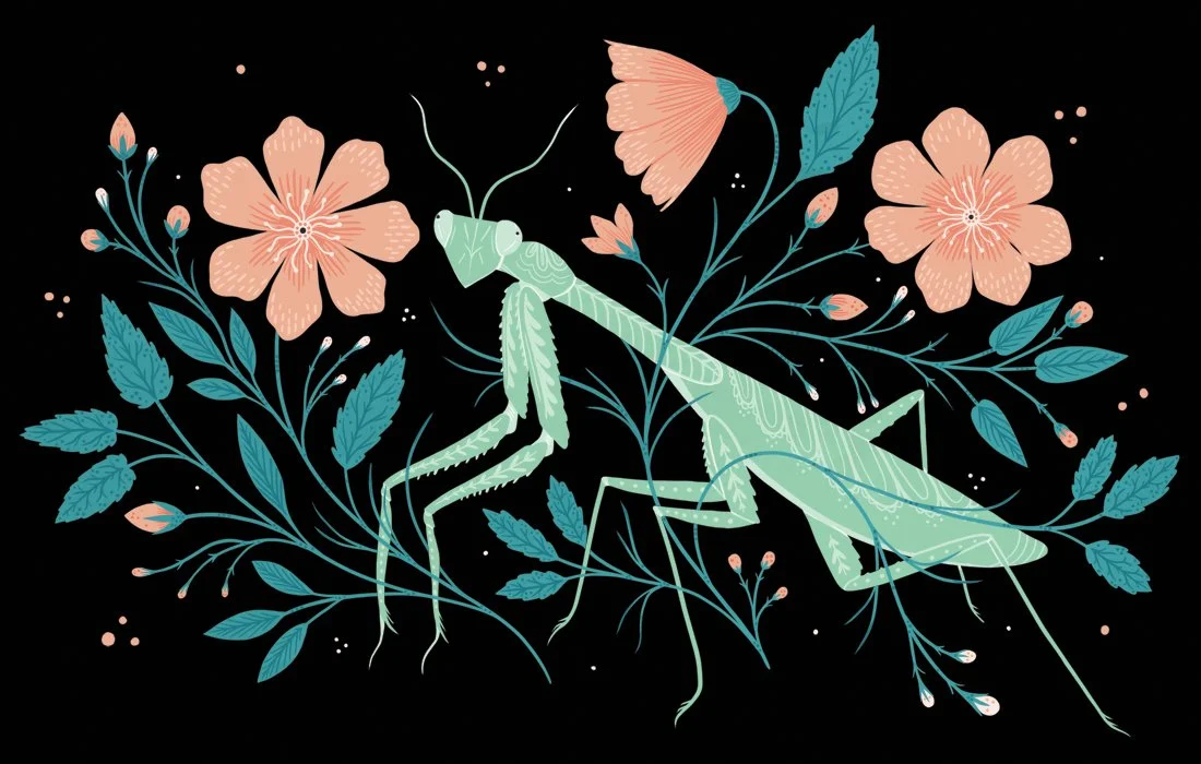 new_mantis_web2.jpg