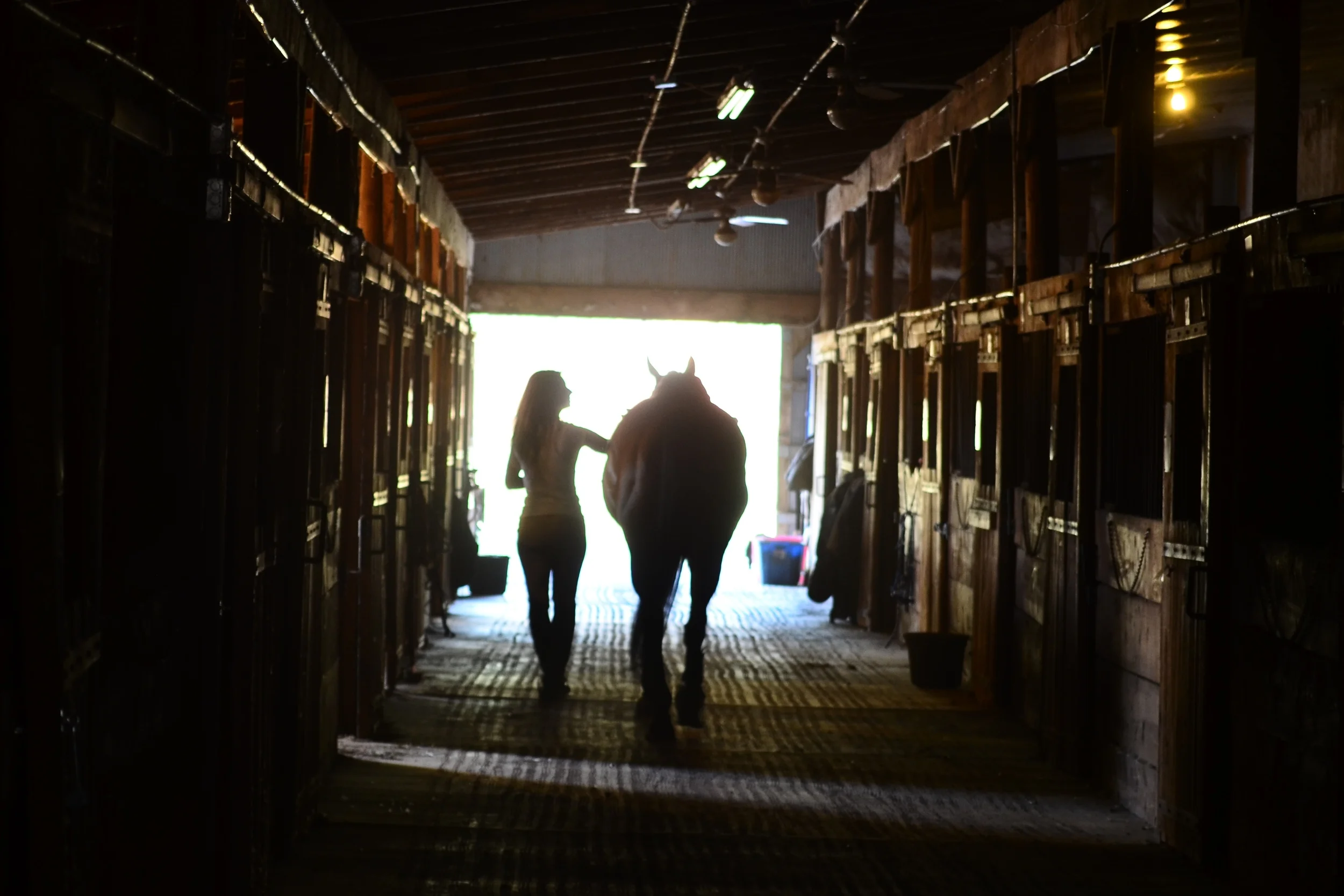 horse boarding