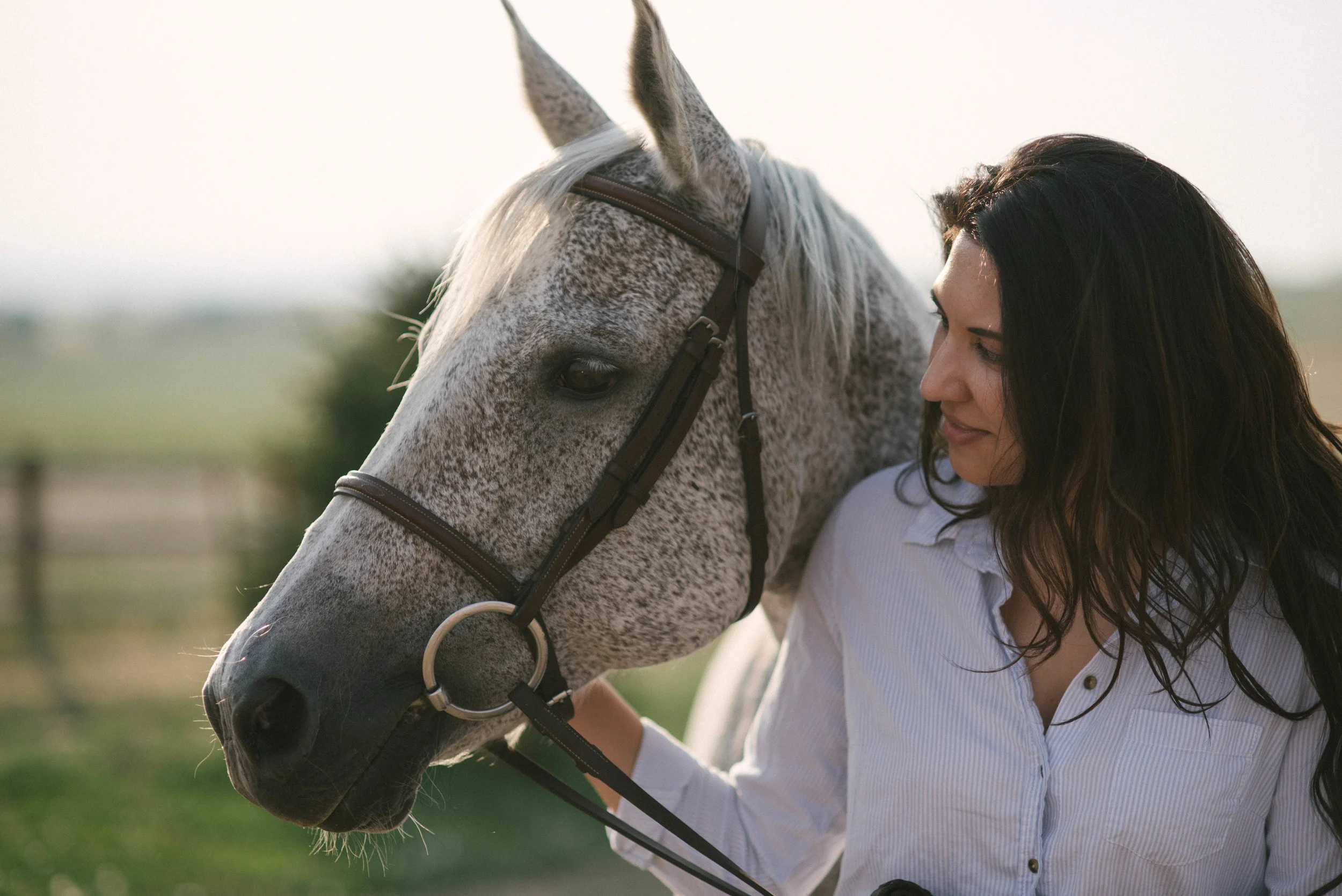 beginner lesson horse