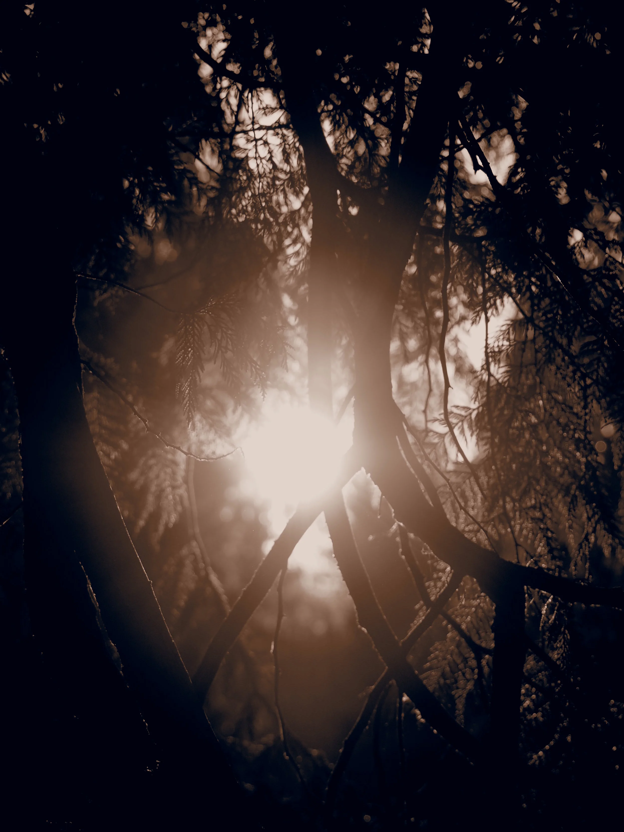 Most of November 2013 226.JPG