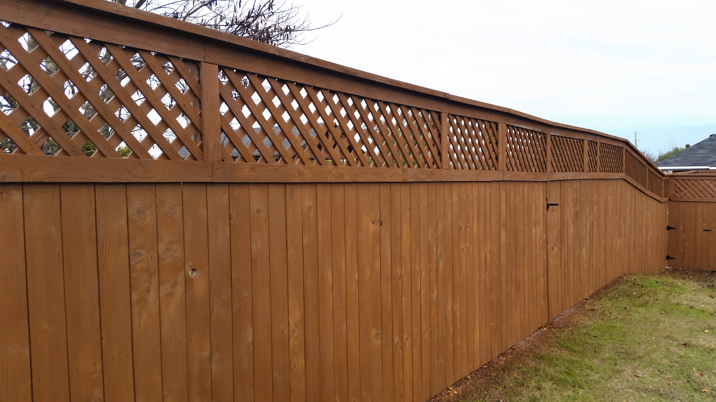 Copy of Lattice After Staining4.jpg
