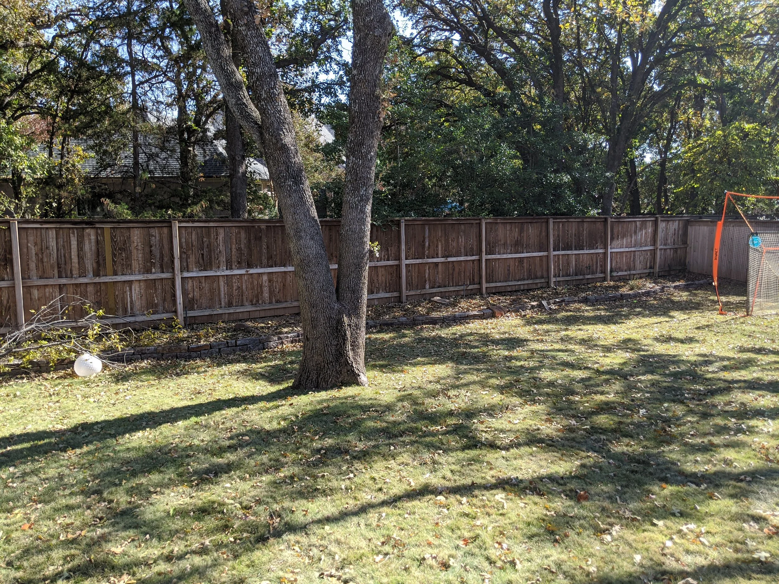IMG_20191114_121126.jpg