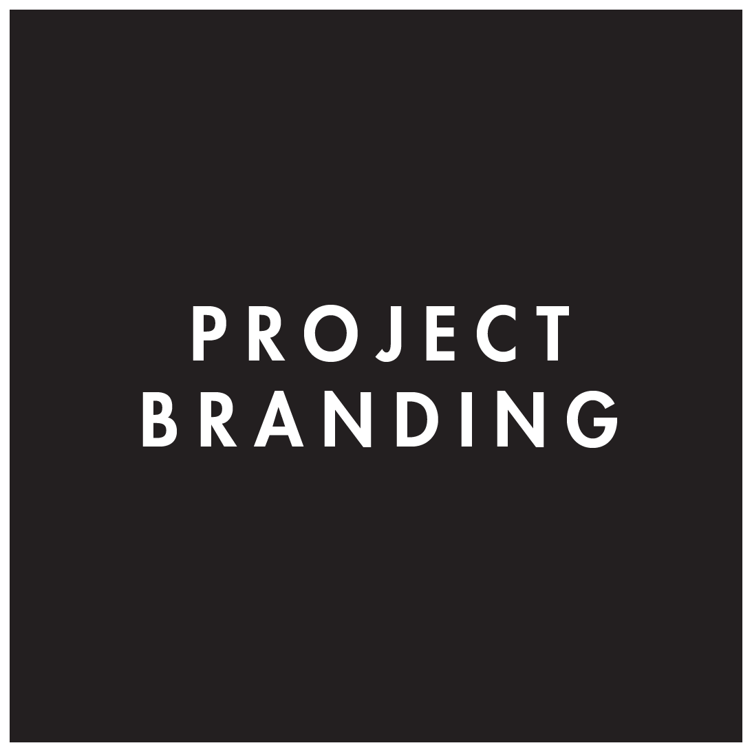 PROJECT BRANDING | Over the past decade we have found that most built things in the contemporary world need a brand - a way to remember them by. Regardless of whether these objects are a building, a table, or a city, there is a need to think about their meaning and marketability. Our Project Branding service offers give clients the opportunity to work with us as designers, artist, architects, and makers to do this thinking. Contact us for a full list of packages available.