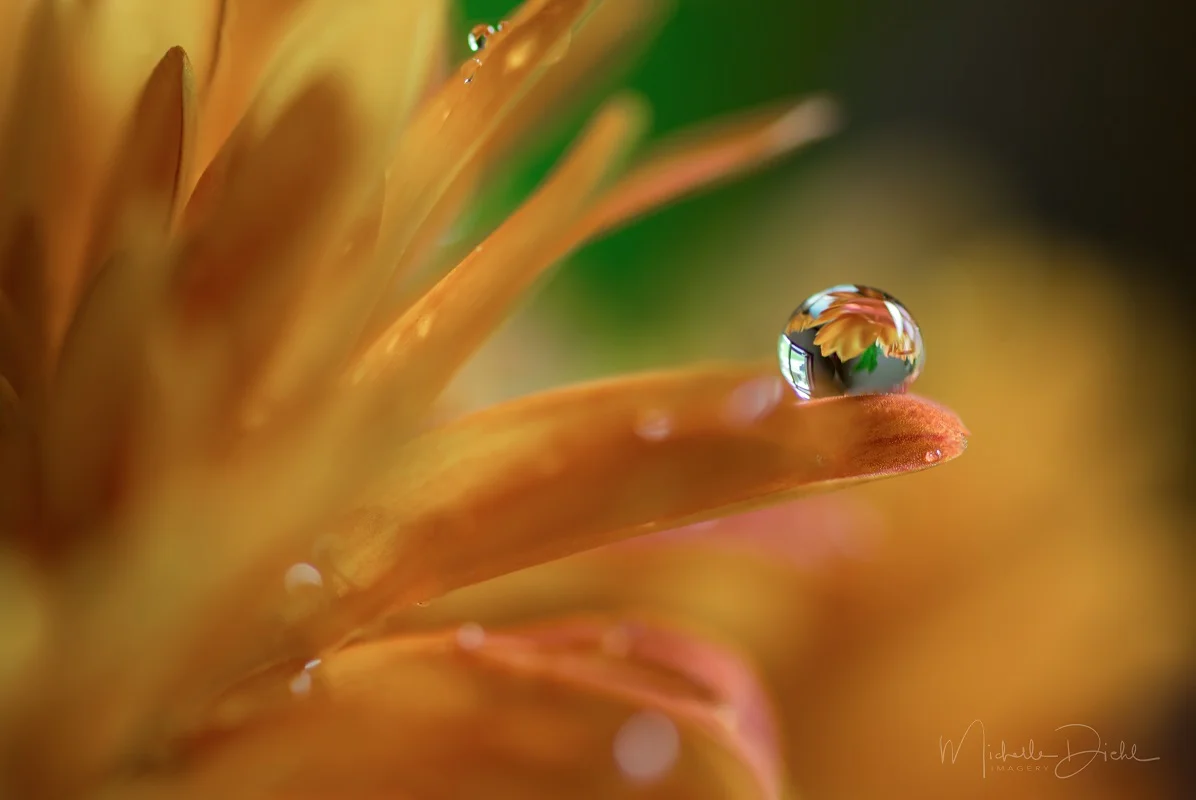 Autumn bouquet 1.jpg