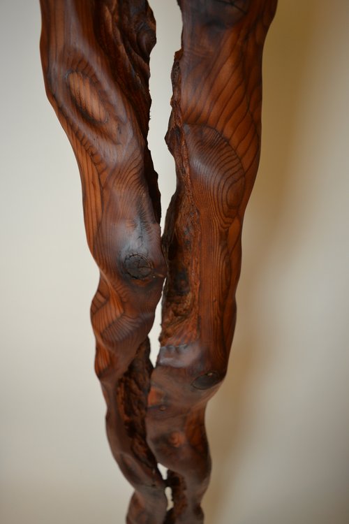 Abstract Wood Sculptures - Flow series