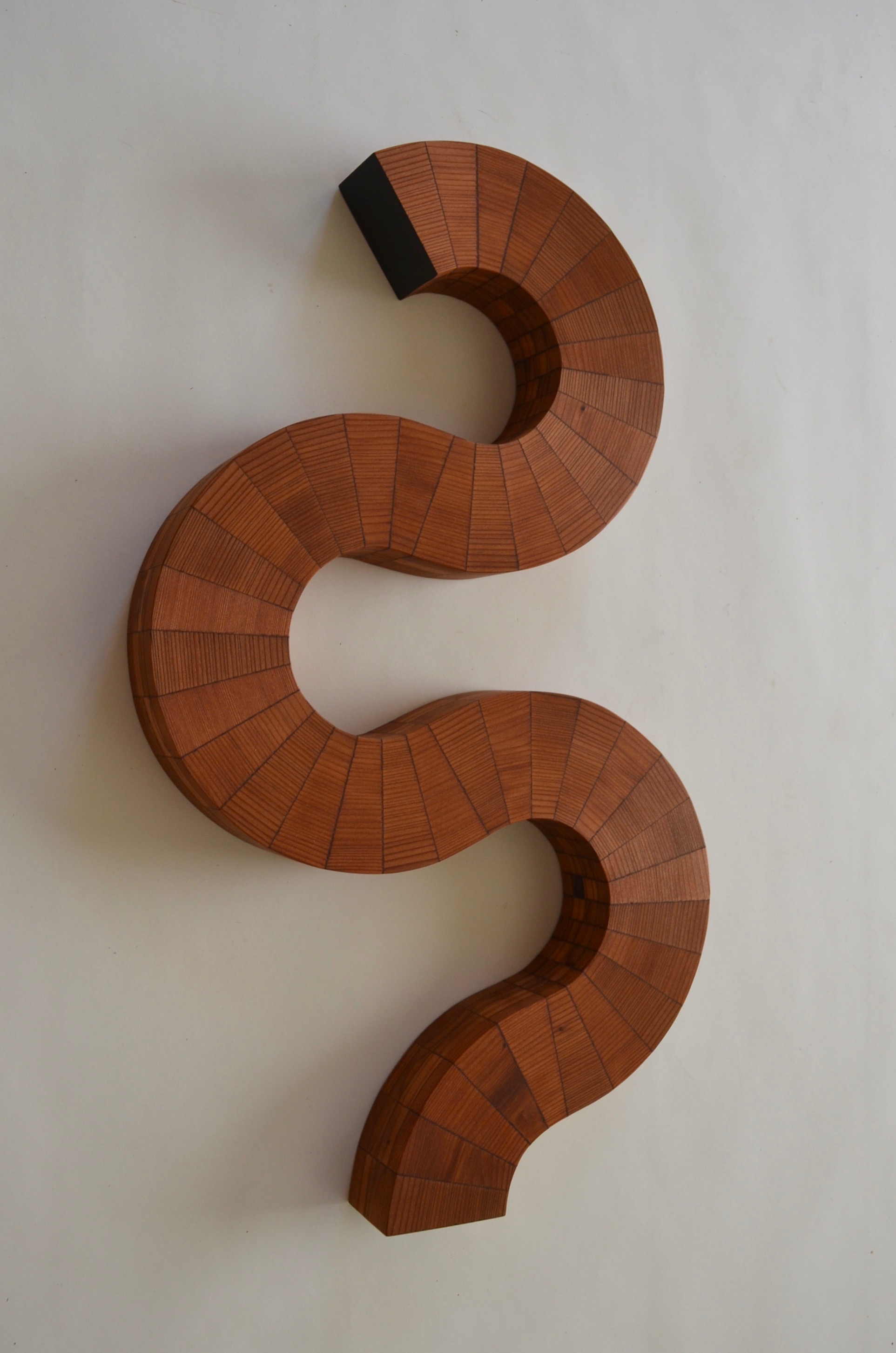 Rising II modern wall sculpture by Lutz Hornischer.jpg