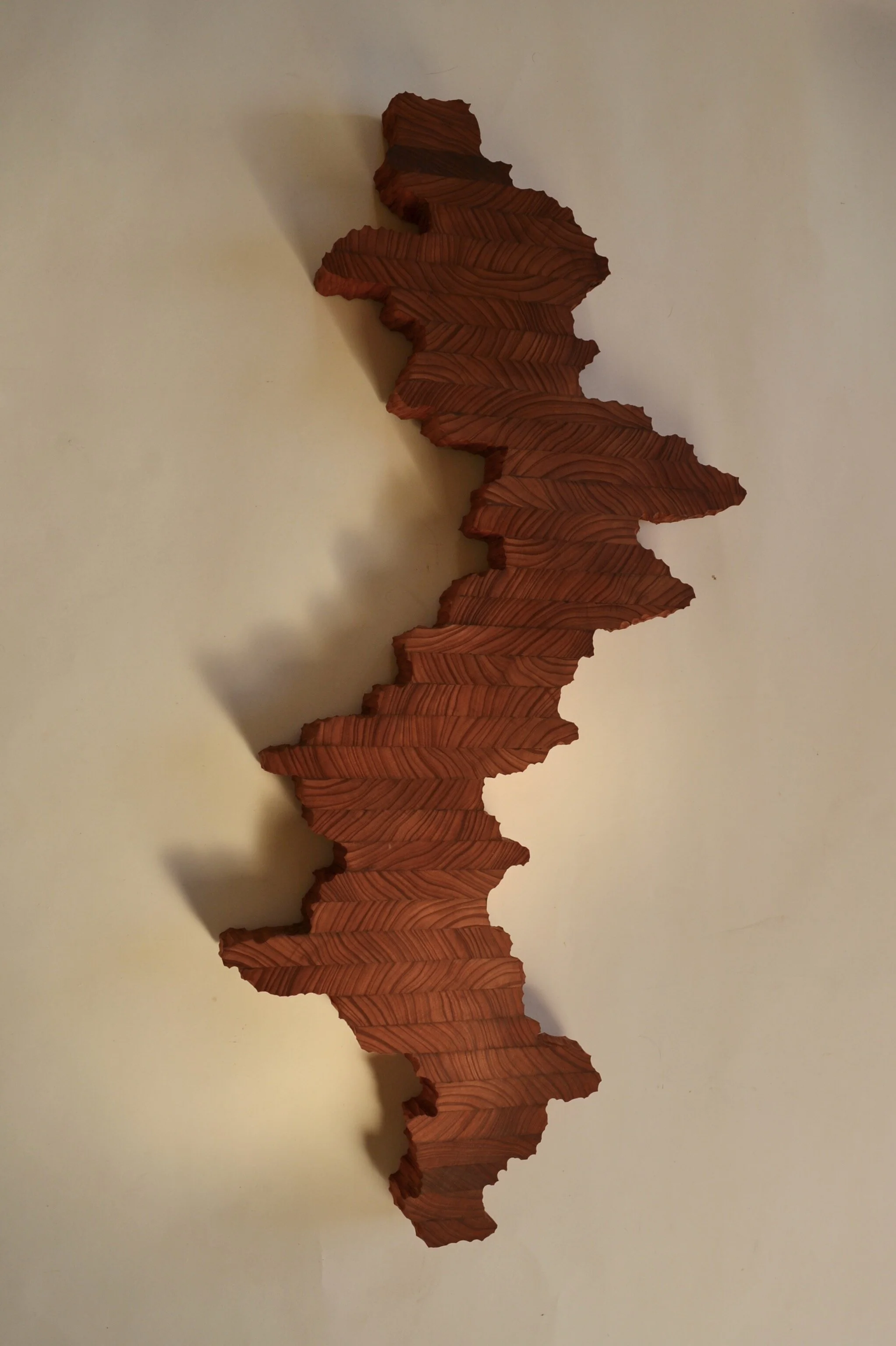 Slice of Nature 4 wall art by Lutz Hornischer.jpeg