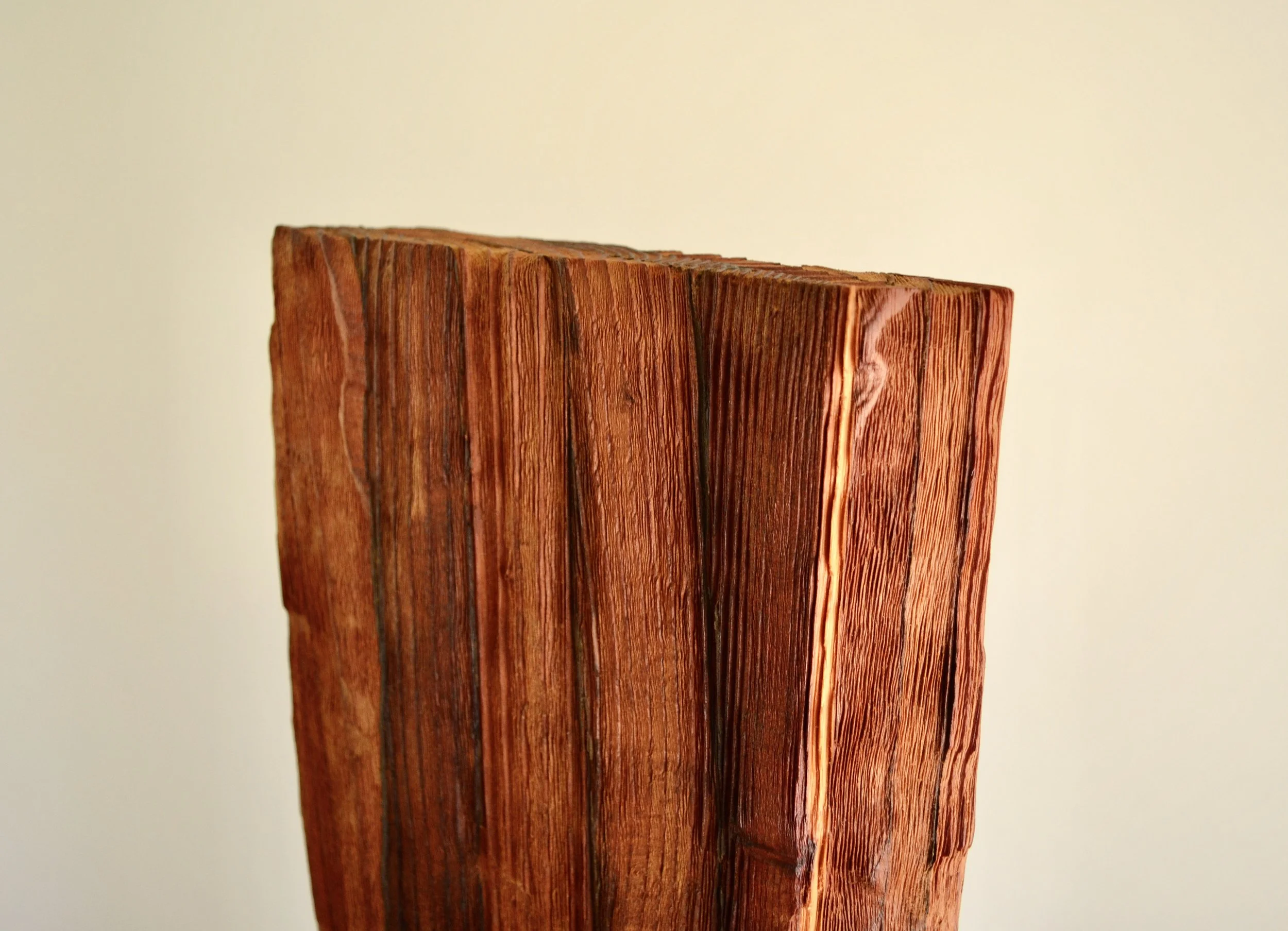 Twisted 6 close up sculpture.jpeg