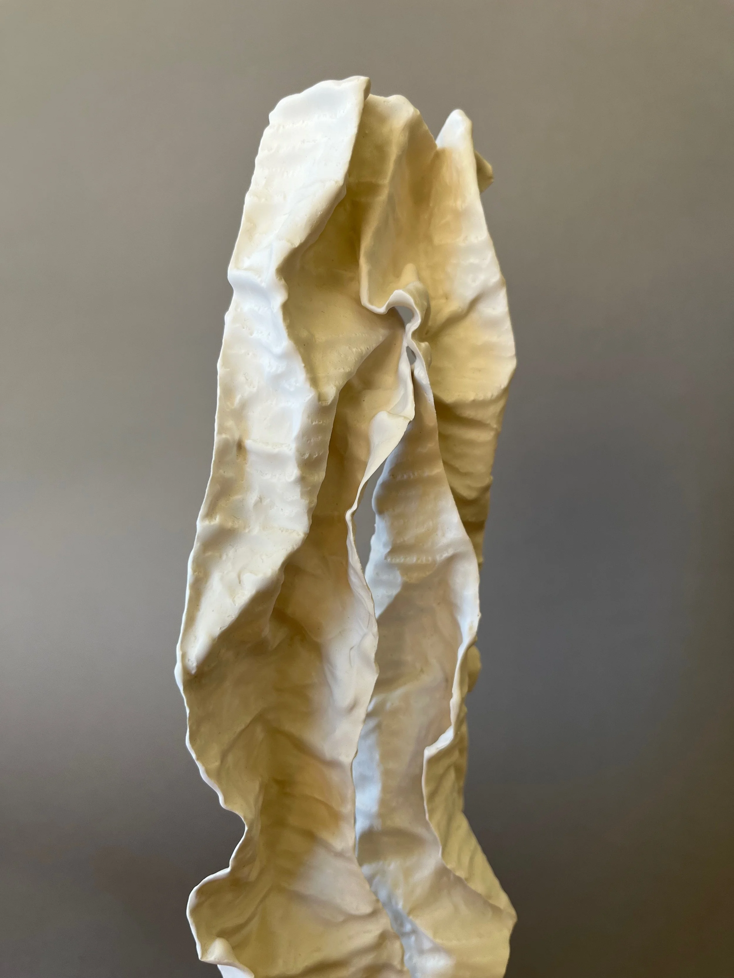 Discover 5 close up plaster sculpture by Lutz Hornischer.jpeg