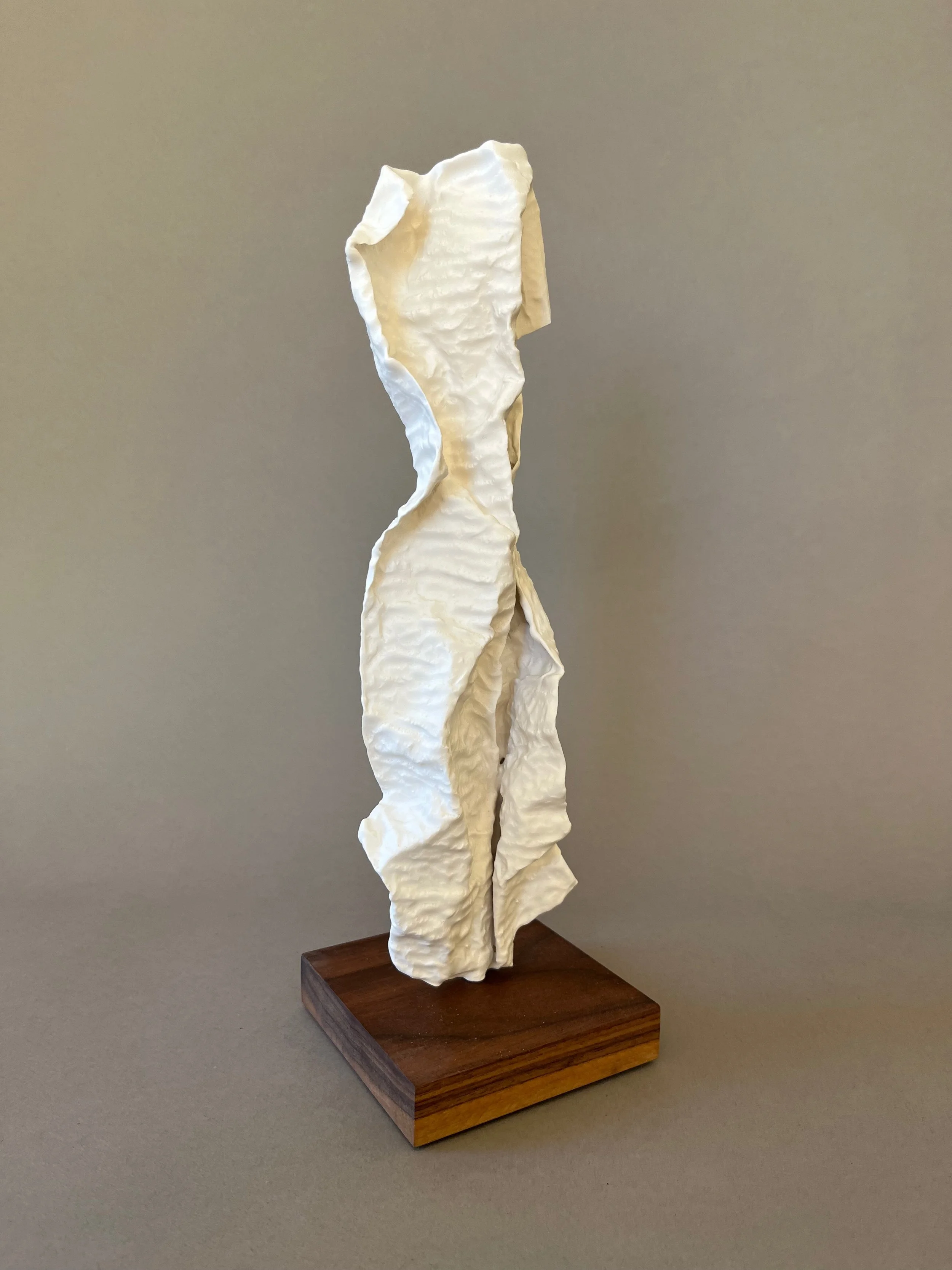 Hidden 2 plaster sculpture by Lutz Hornischer.jpeg